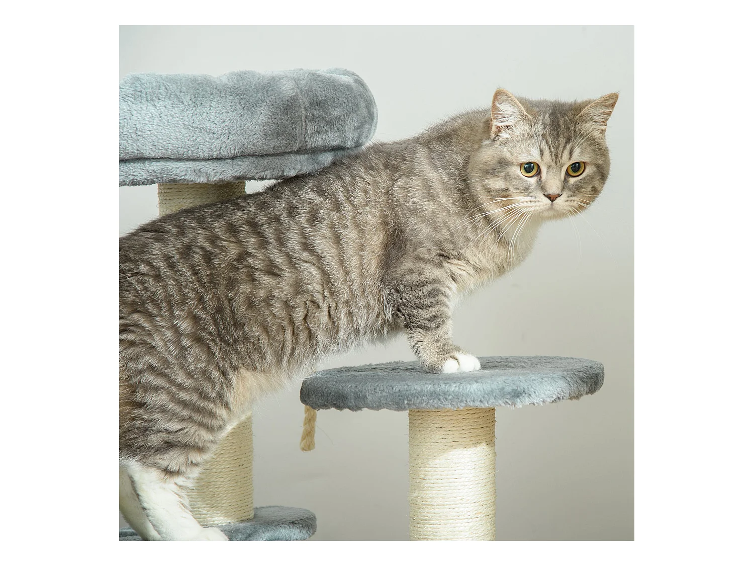 Árbol para gatos gris 40x40x65 cm PawHut