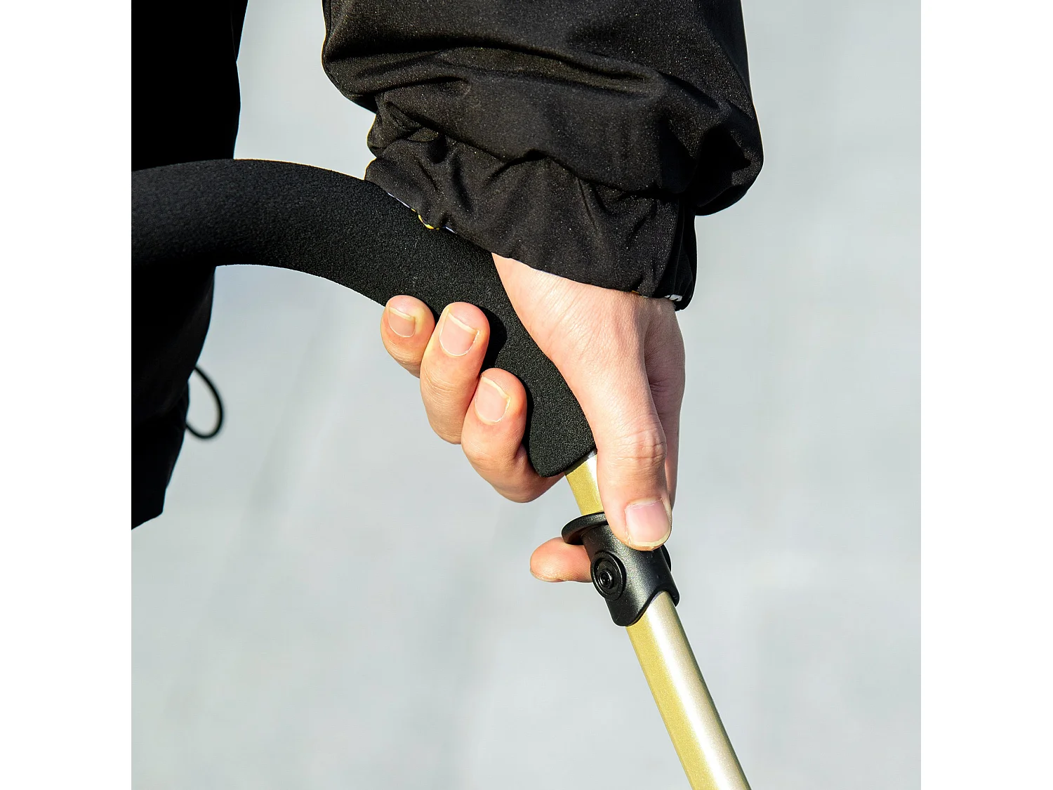 Cochecito para mascotas azul 82x49.5x98 cm PawHut