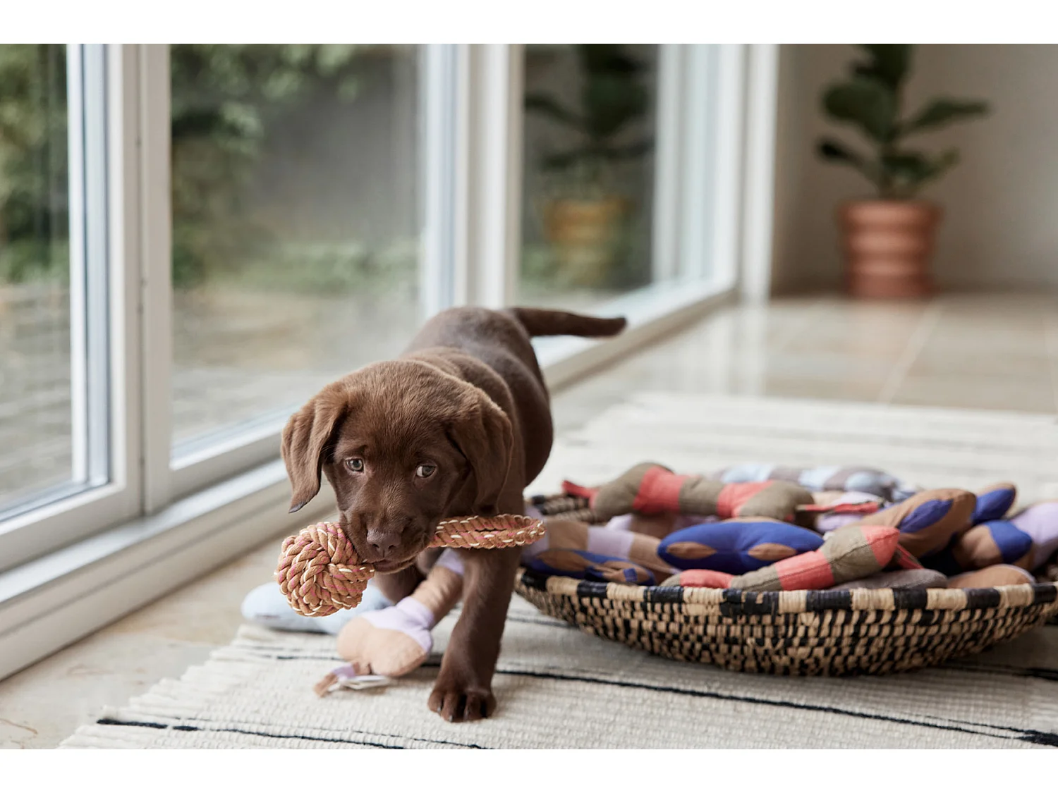 Jouet en polester recyclé Zoo