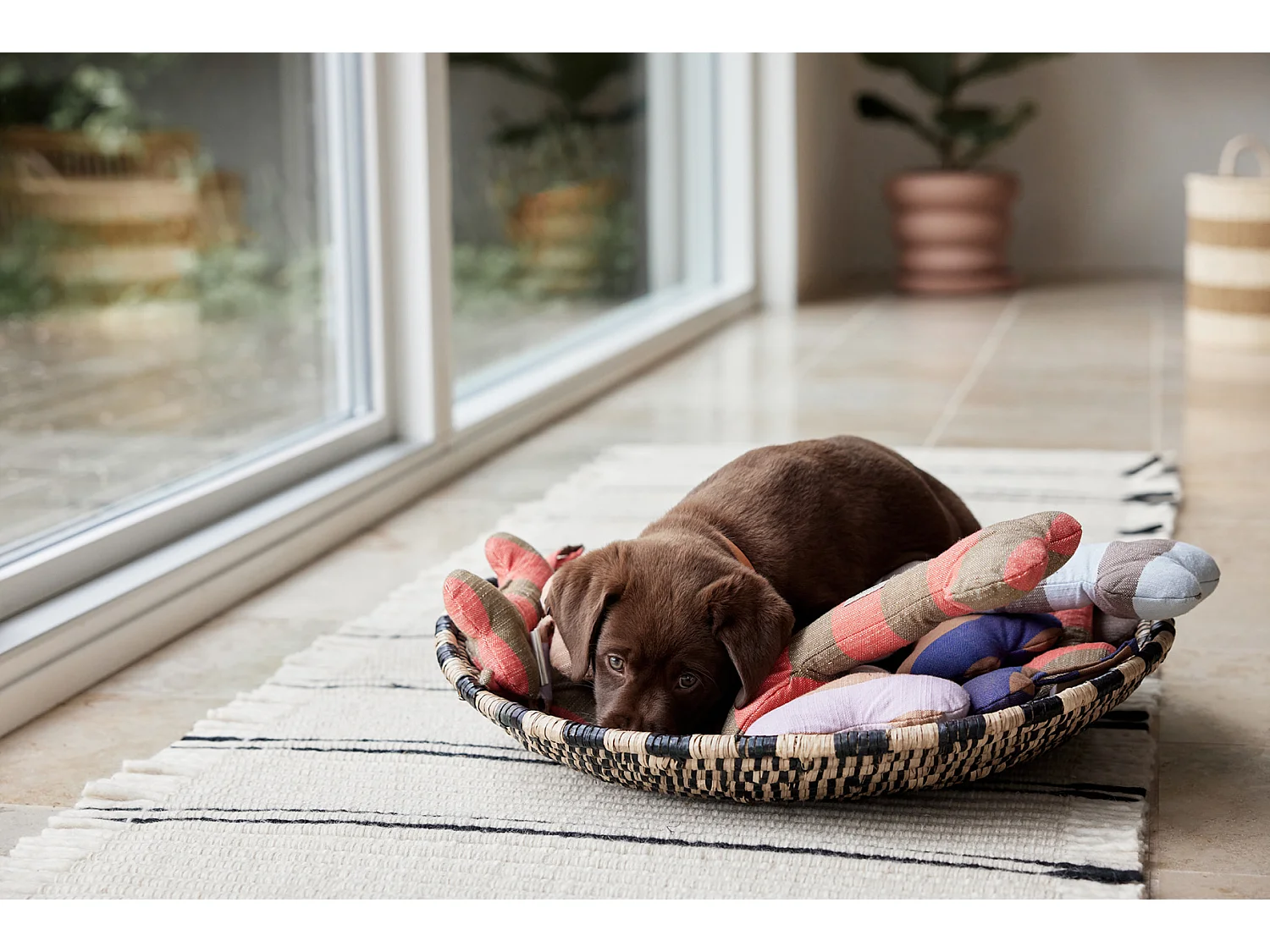 Jouet en polester recyclé Zoo