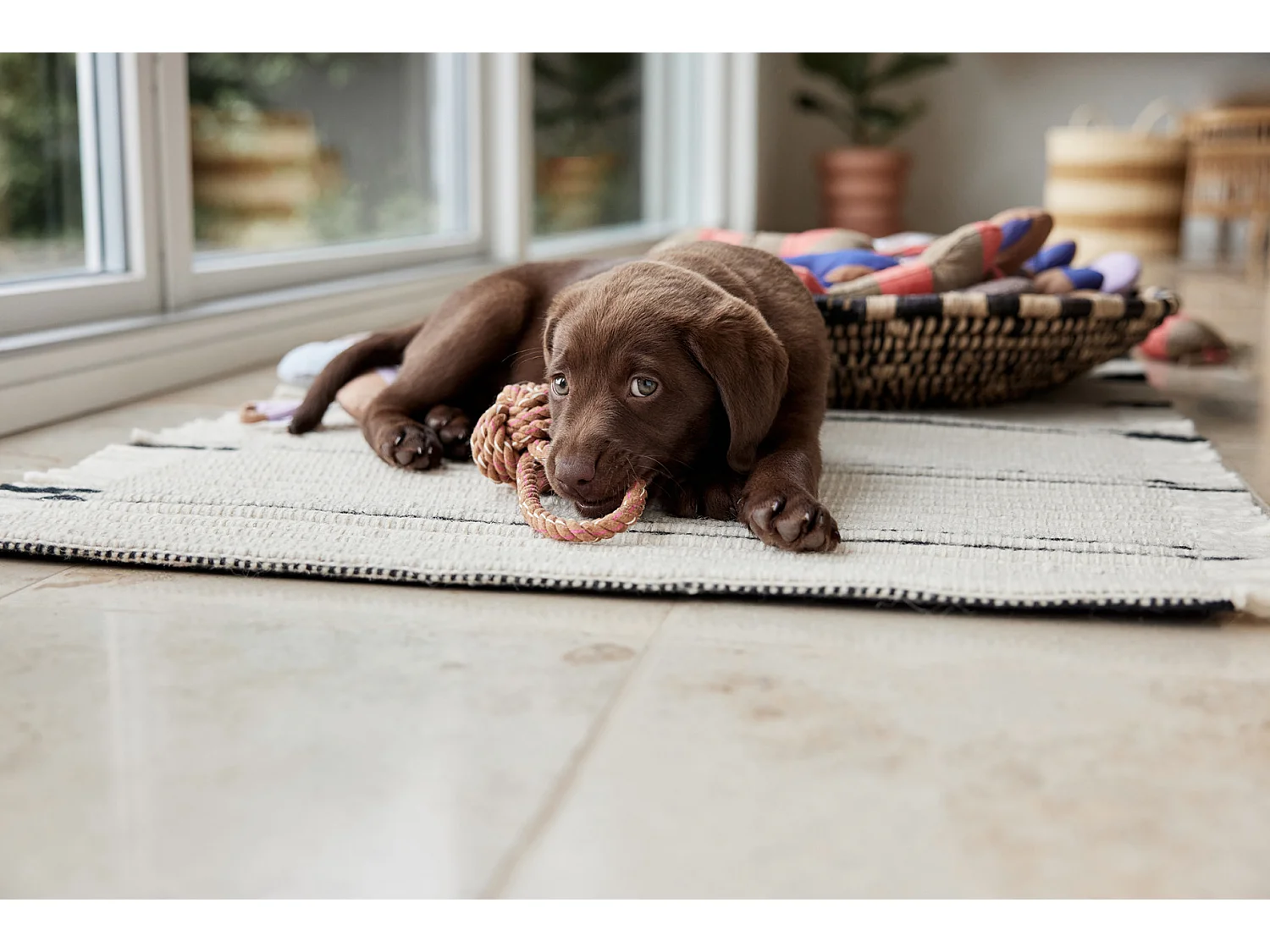 Jouet en polester recyclé Zoo
