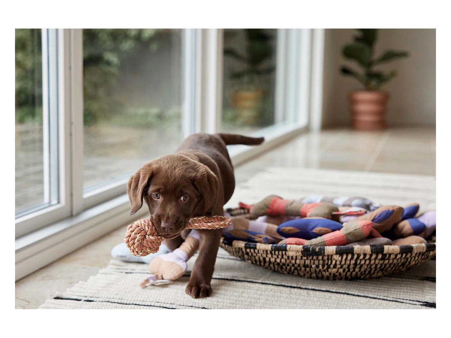 Jouet en polester recyclé Zoo
