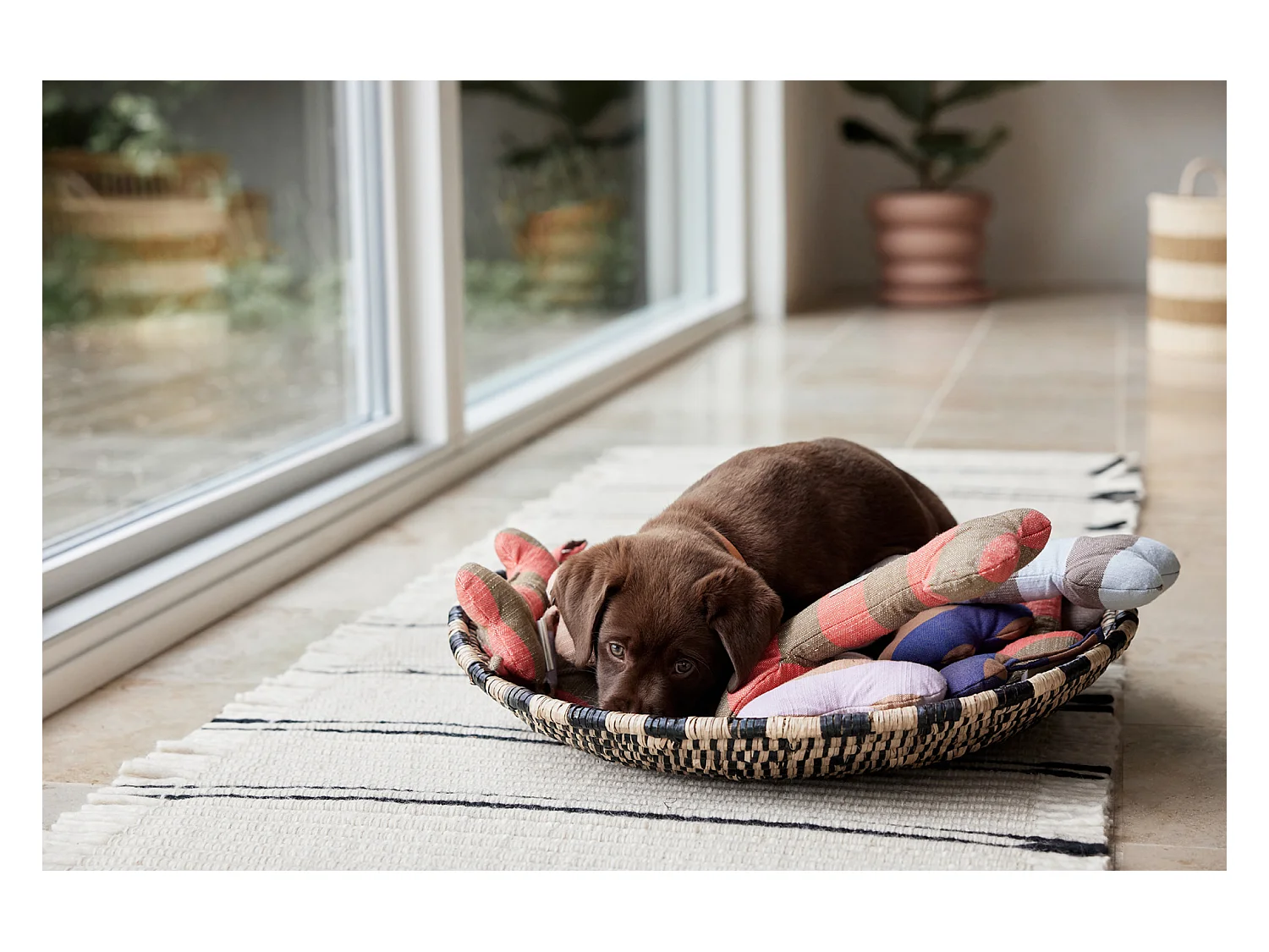 Jouet en polester recyclé Zoo