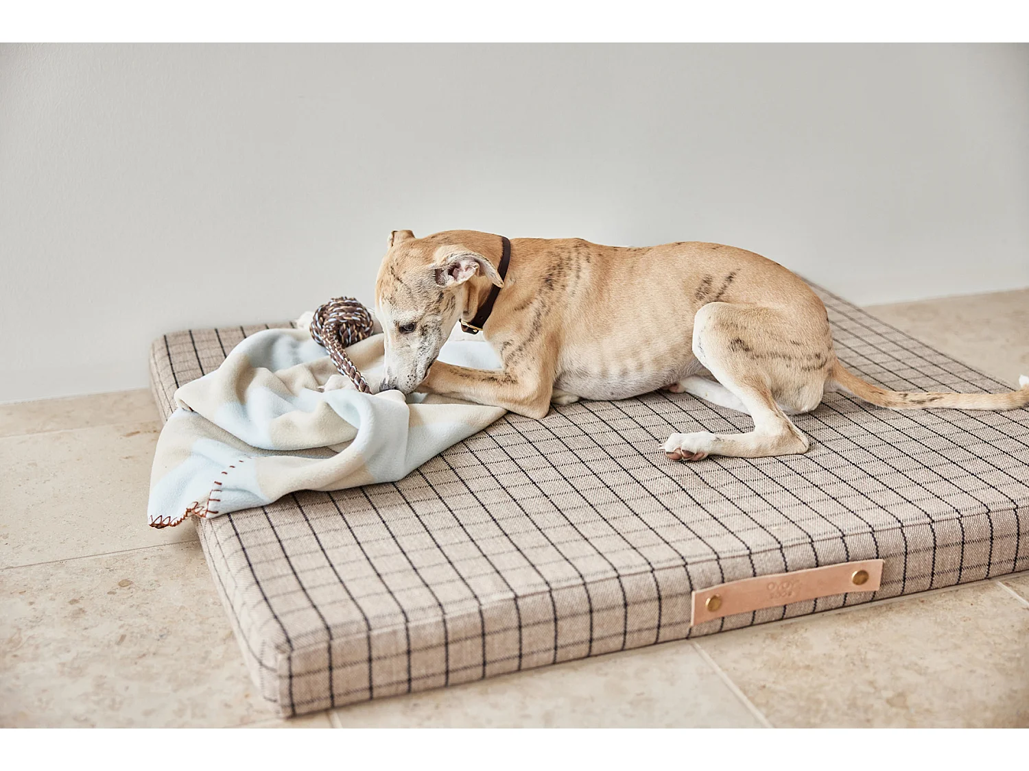 Couverture en polyester Zoo