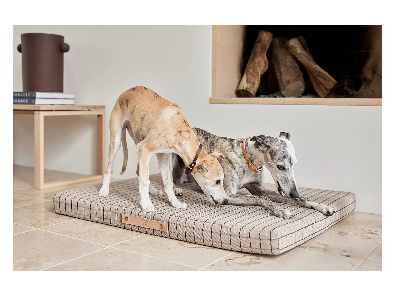 Coussin en coton organique Zoo