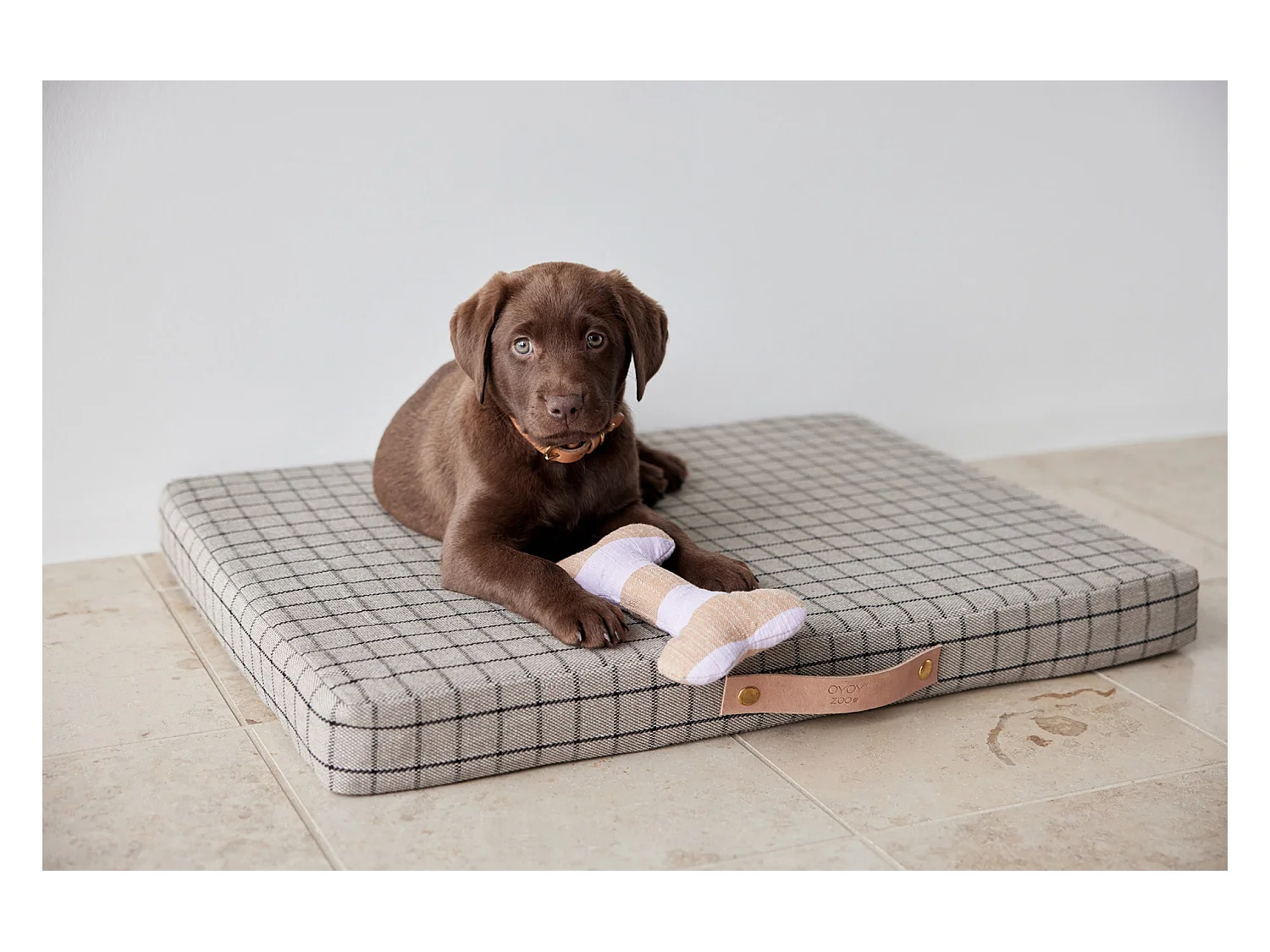 Coussin en coton organique Zoo