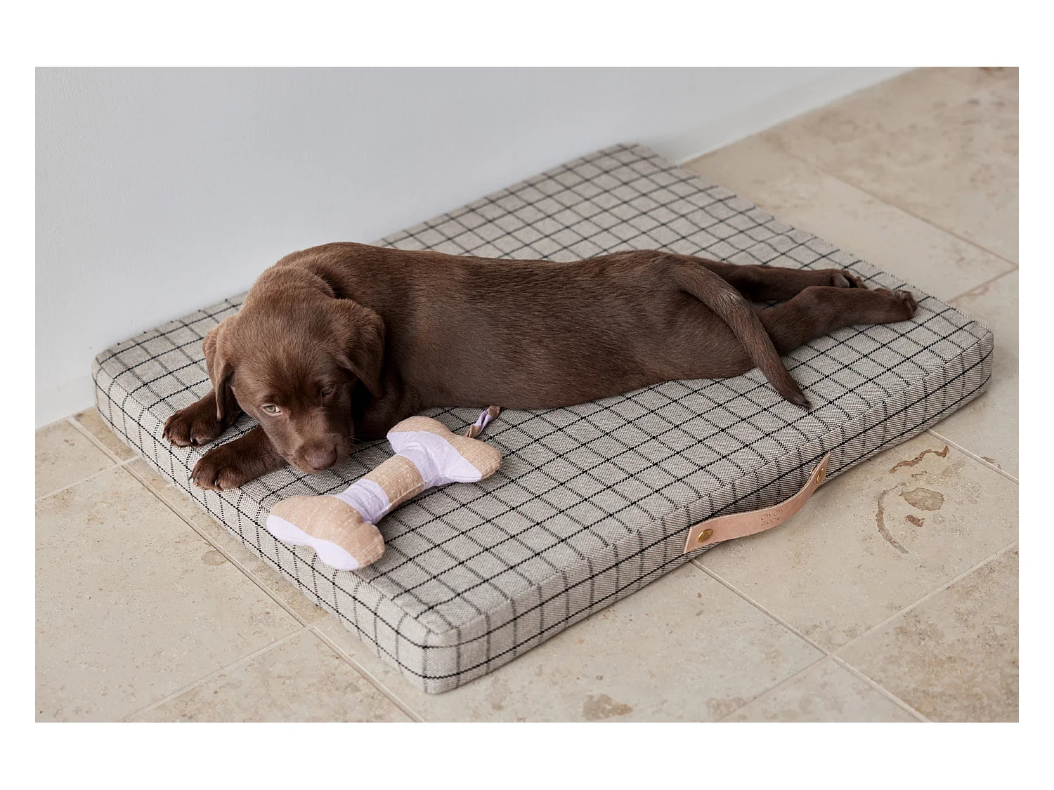 Coussin en coton organique Zoo