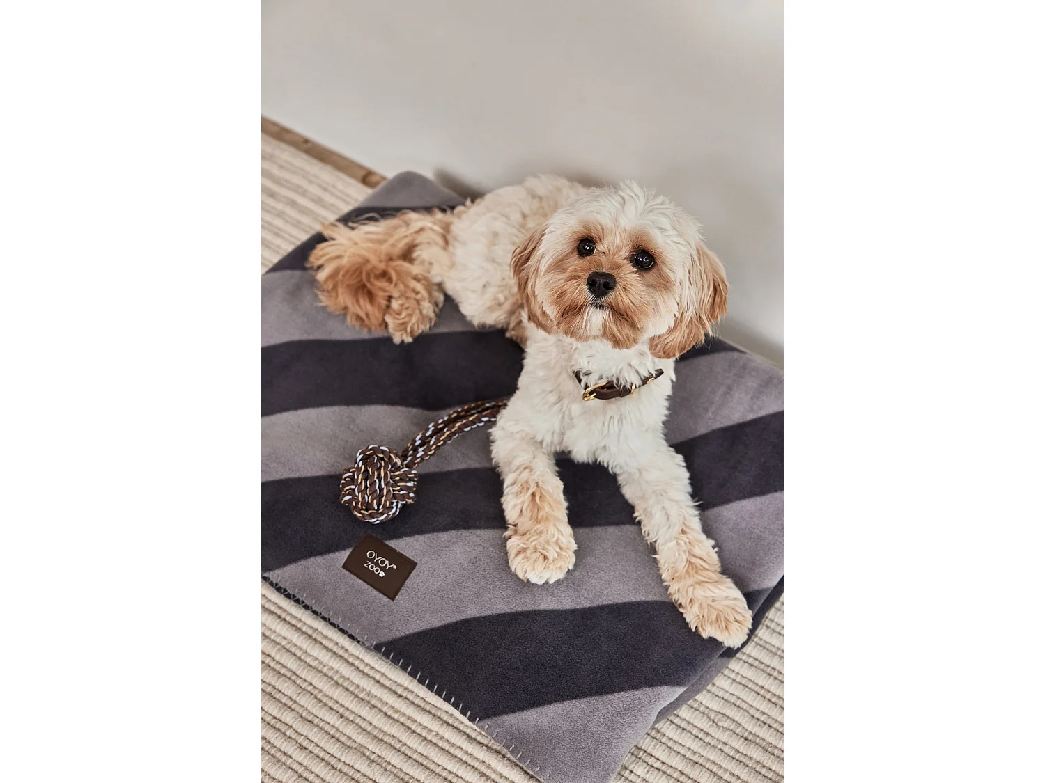 Couverture en polyester Zoo