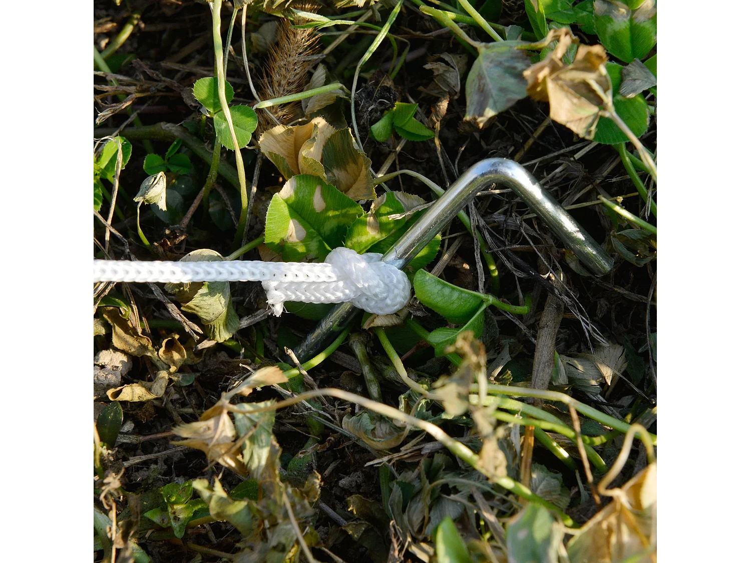 Invernadero de jardín blanco 600x300x280 cm Outsunny