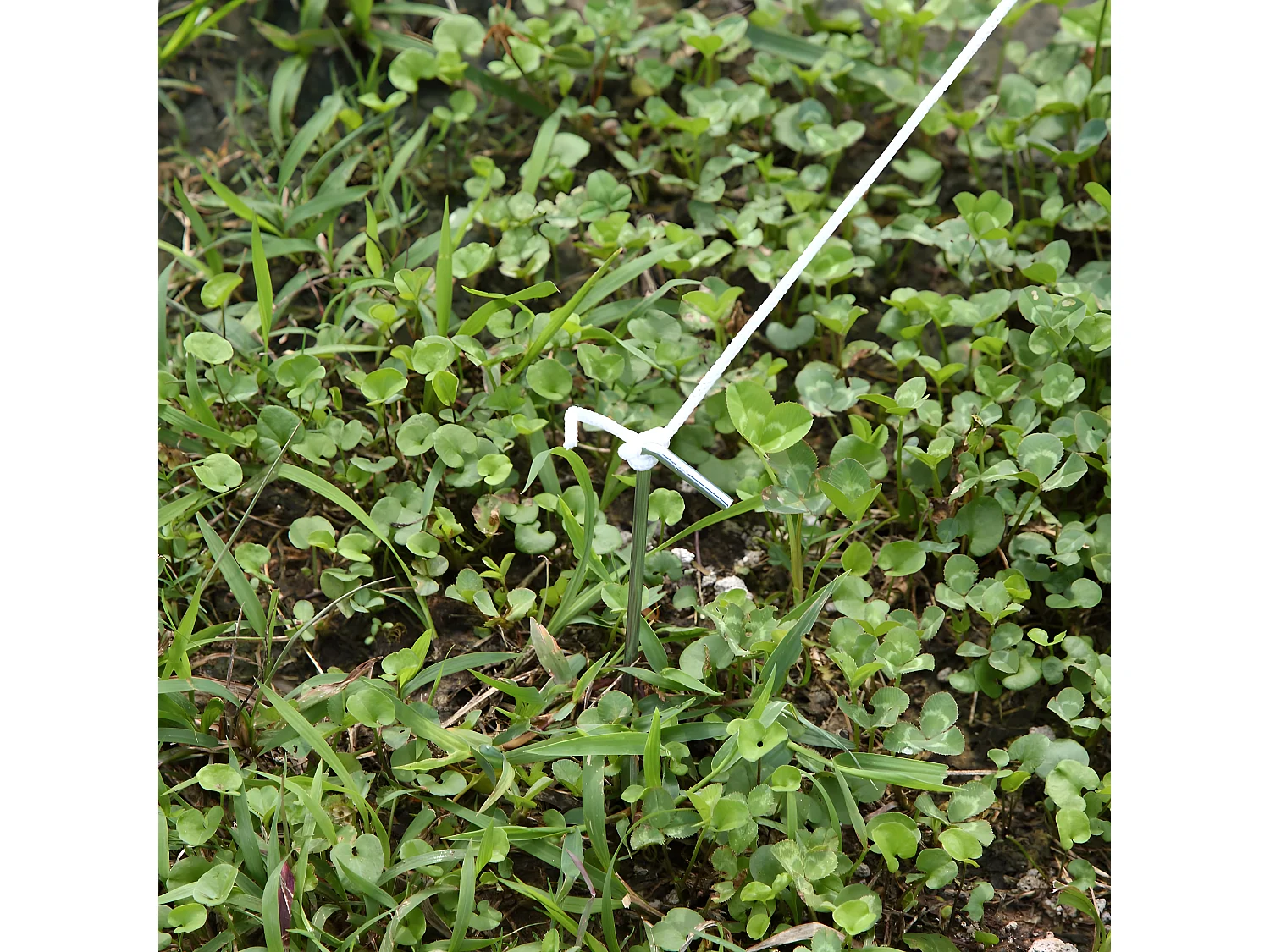 Invernadero de túnel blanco 400x200x200 cm Outsunny