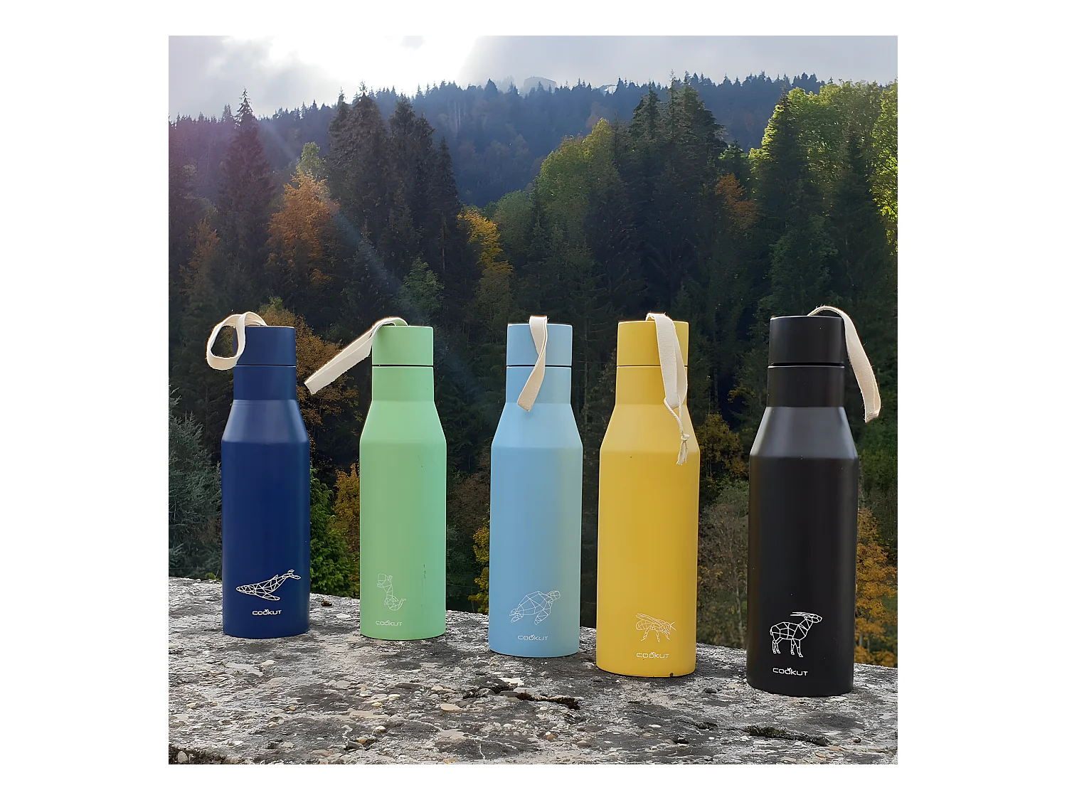 Gourde isotherme Cookut 500ml  Tortue Cookut