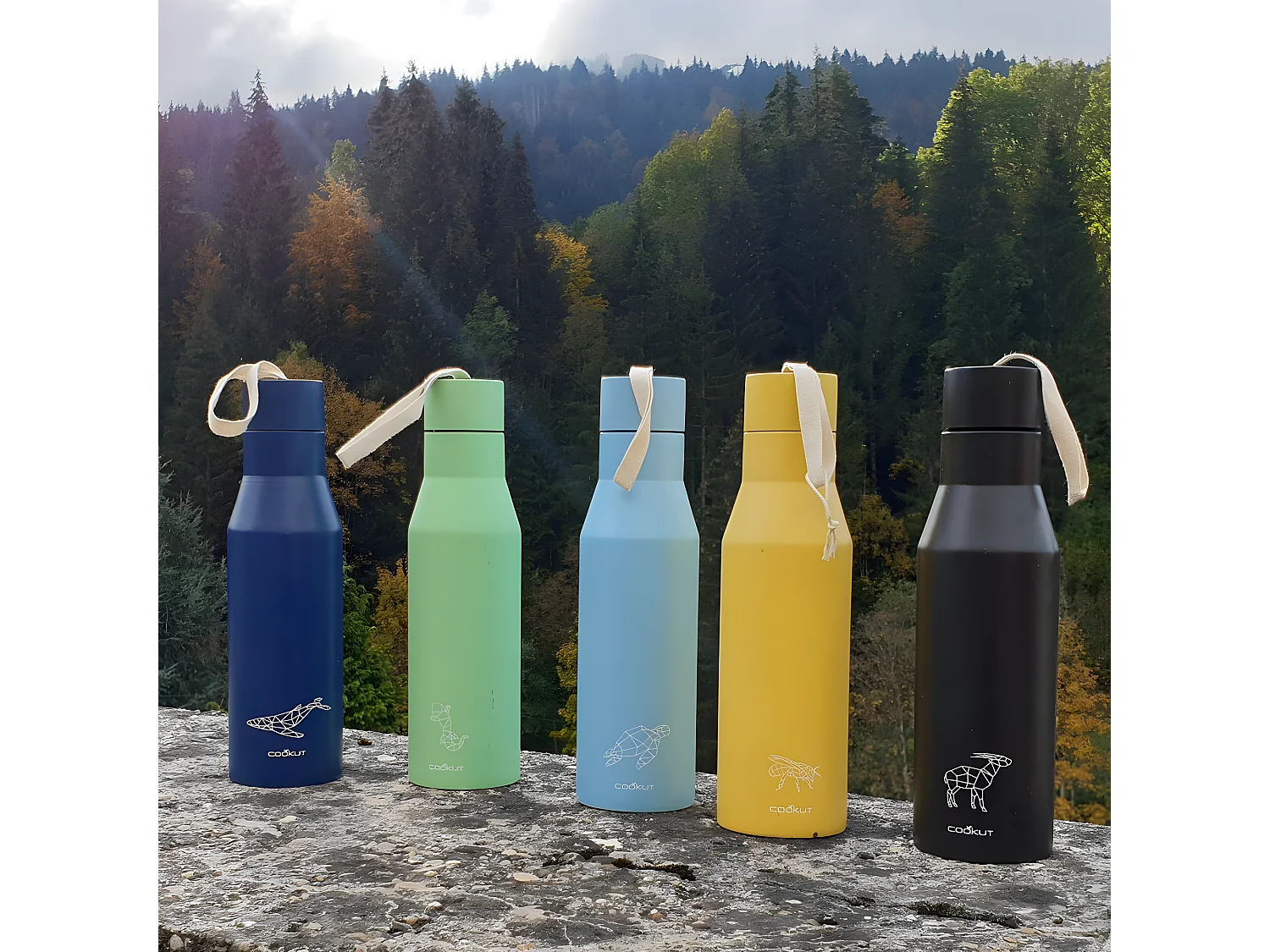 Gourde isotherme Cookut 500ml  Tortue Cookut