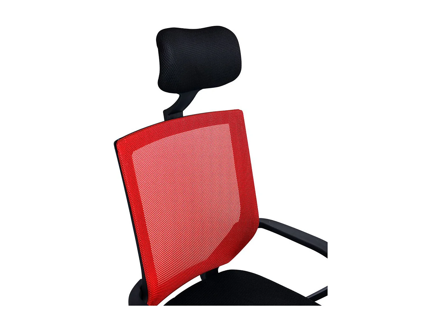 Silla de Escritorio sin brazos Solium - Diseño innovador - Ideal para Estudio y Oficinas