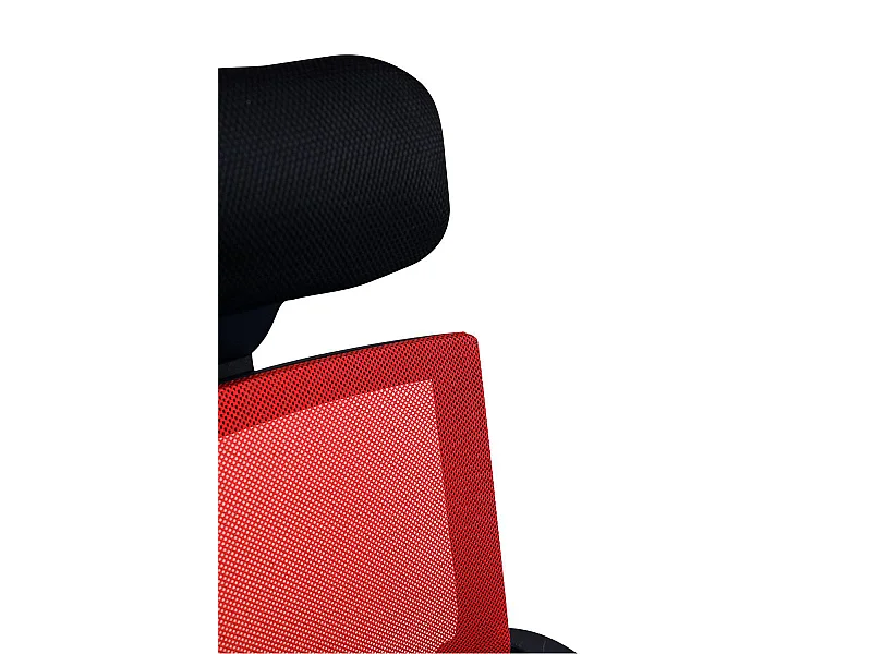 Silla de Escritorio sin brazos Solium - Diseño innovador - Ideal para Estudio y Oficinas