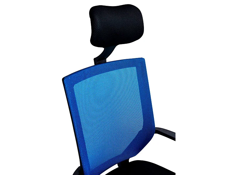 Silla de Escritorio sin brazos Solium - Diseño innovador - Ideal para Estudio y Oficinas