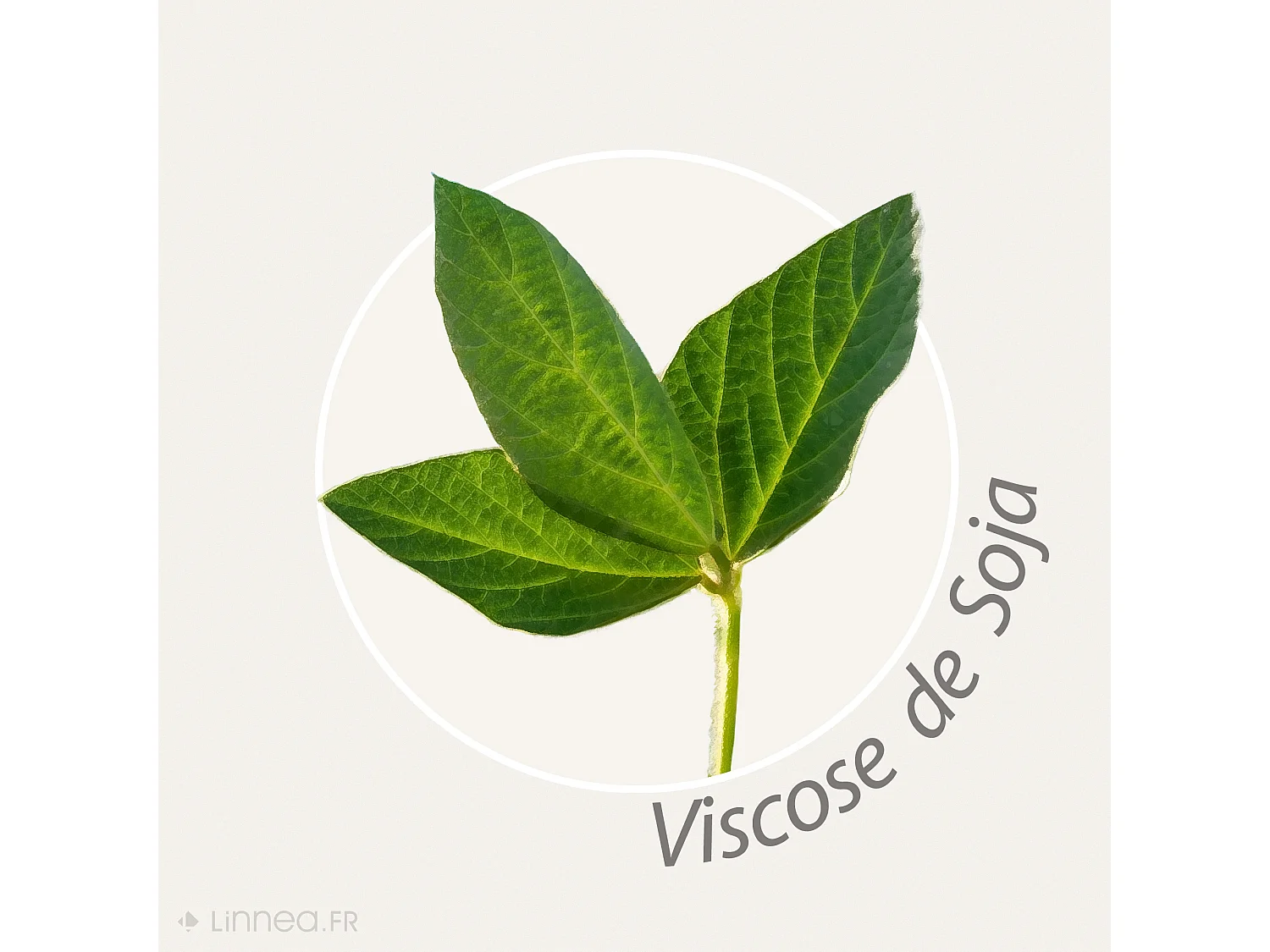 Traversin plat 135x35 cm ASCONA mousse à mémoire de forme viscosoja