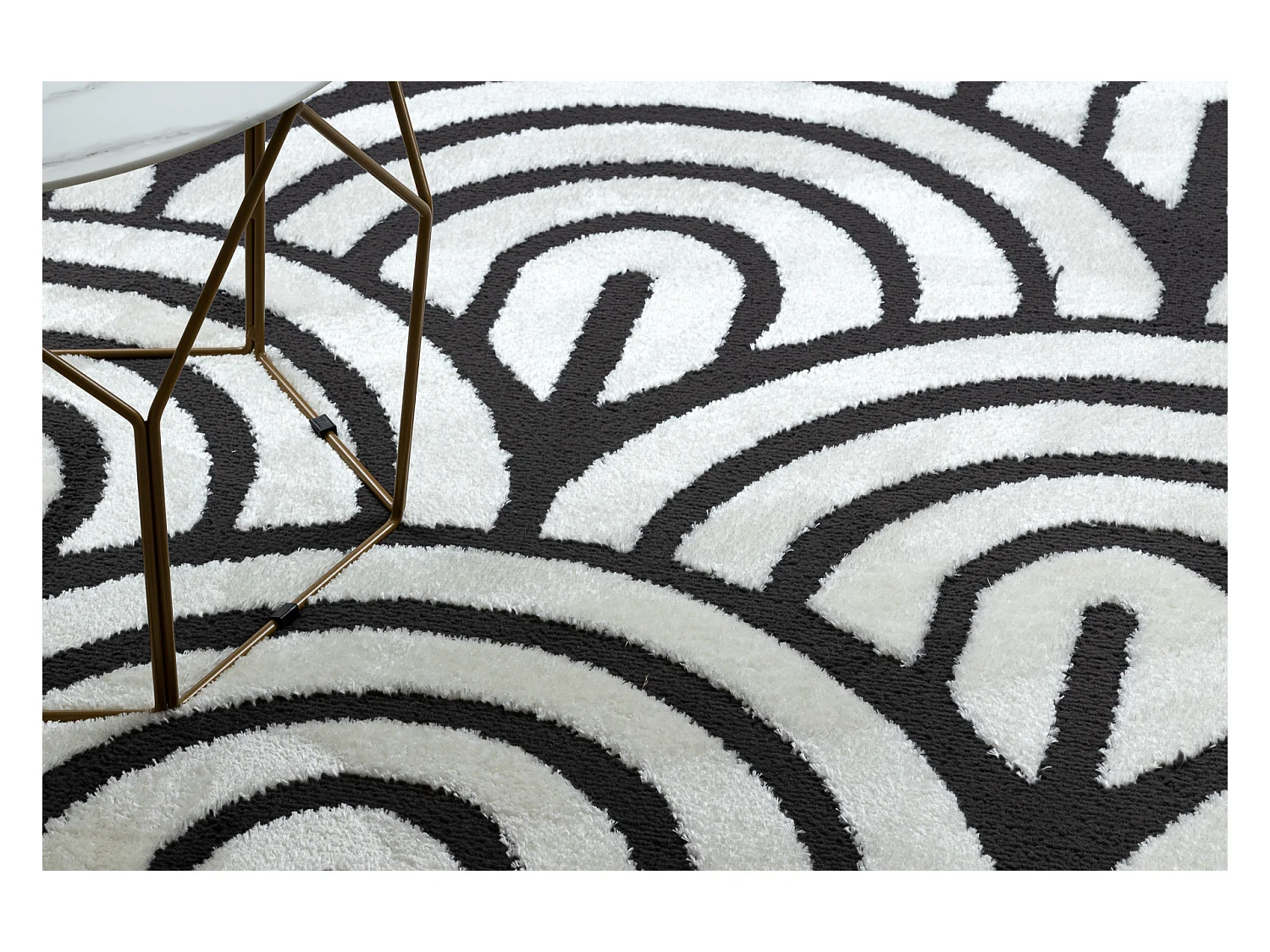 Tapijt modern MODE 8629 schelpen creme / zwart 240x330 cm