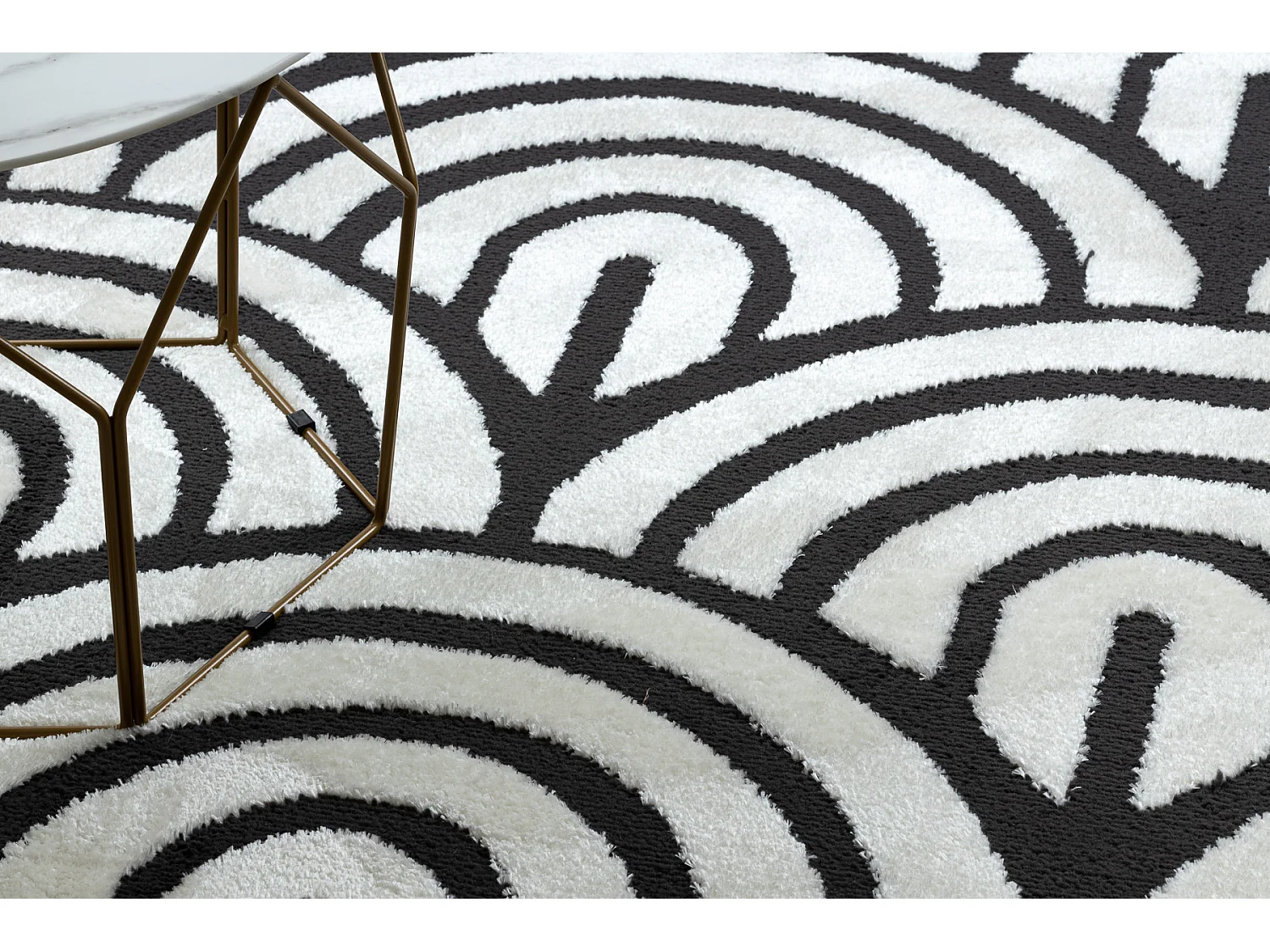 Tapijt modern MODE 8629 schelpen creme / zwart 140x190 cm