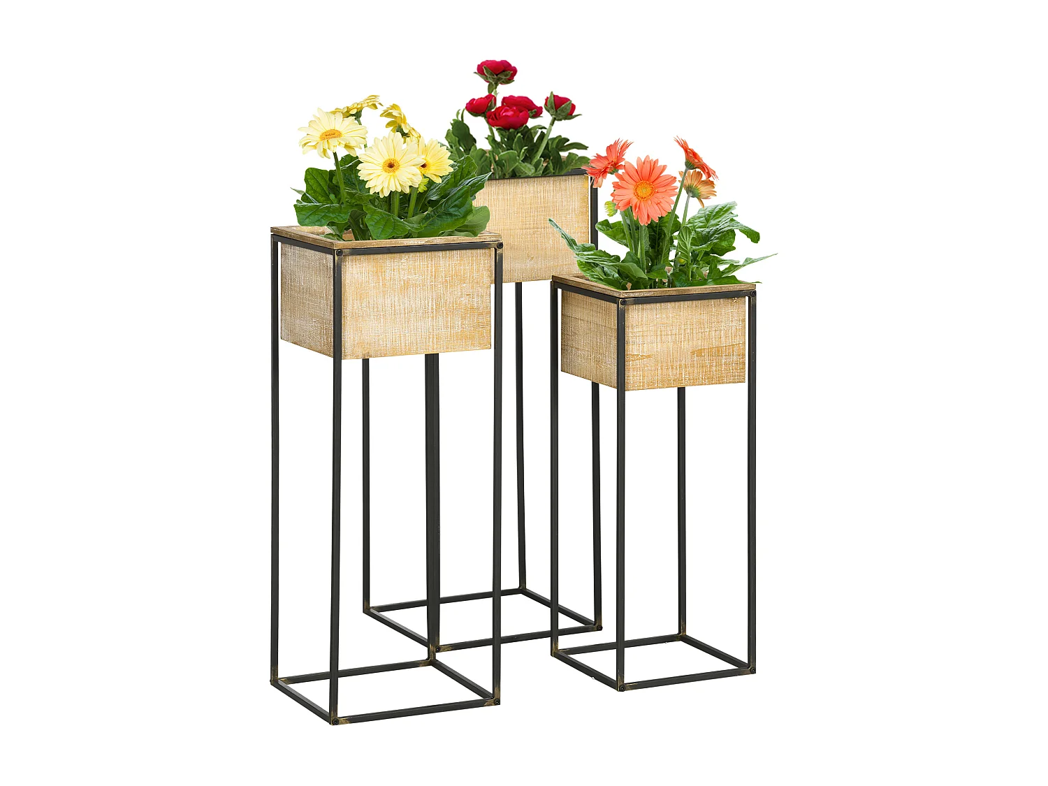 Lot de 3 cache-pots carrés sur pied pour plantes - 3 hauteurs différentes - bois de sapin métal noir aspect vieilli
