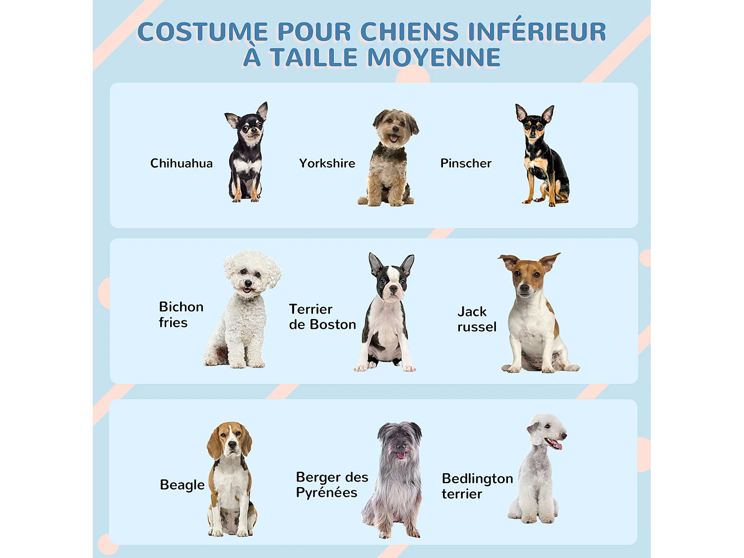 Niche pour chien design maisonnette - dim. 65L x 75l x 63H cm - PP bleu blanc