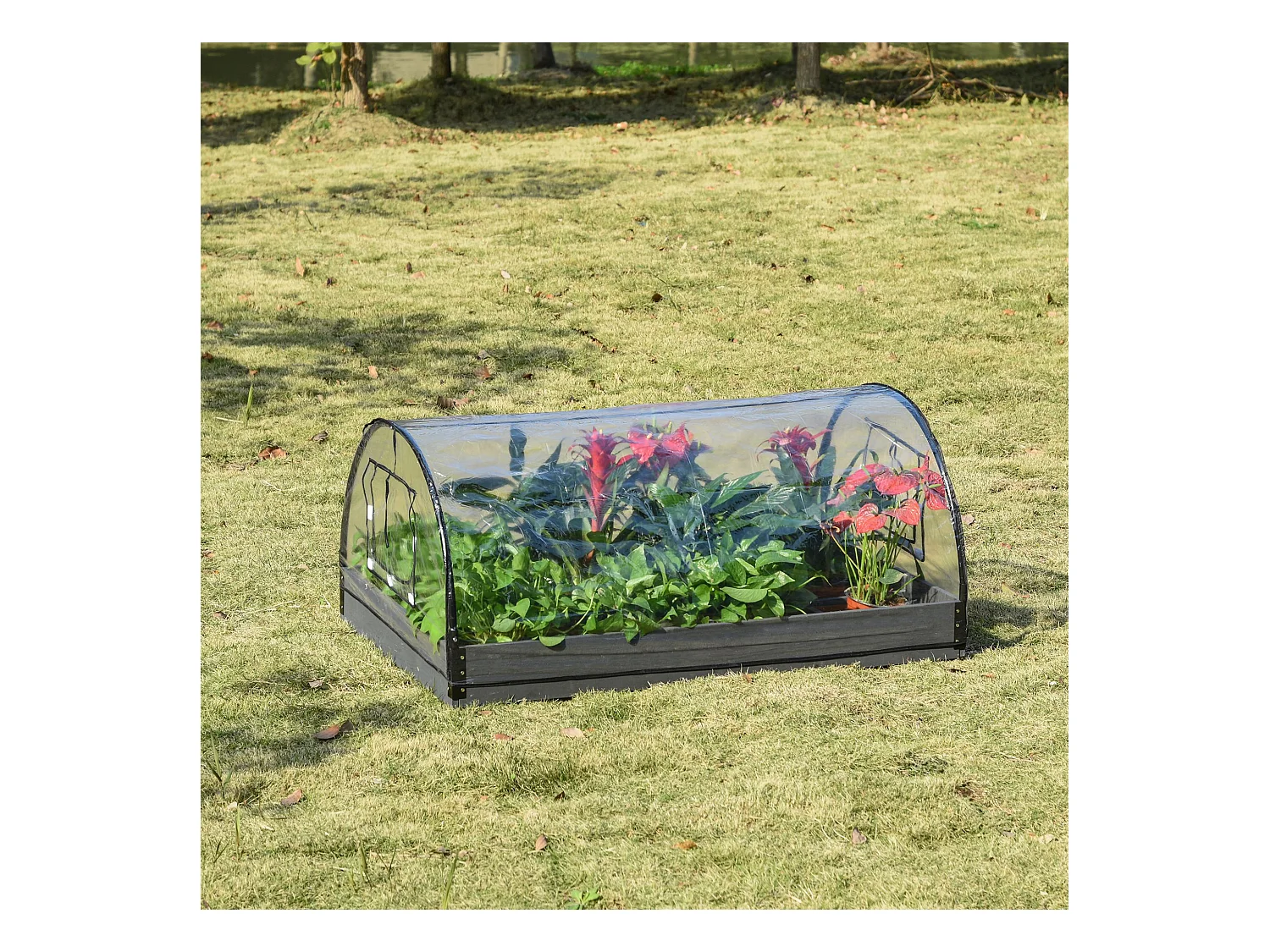 Mini serre de jardin serre à tomates mini serre pour semis carré potager bois sapin gris bâche PVC