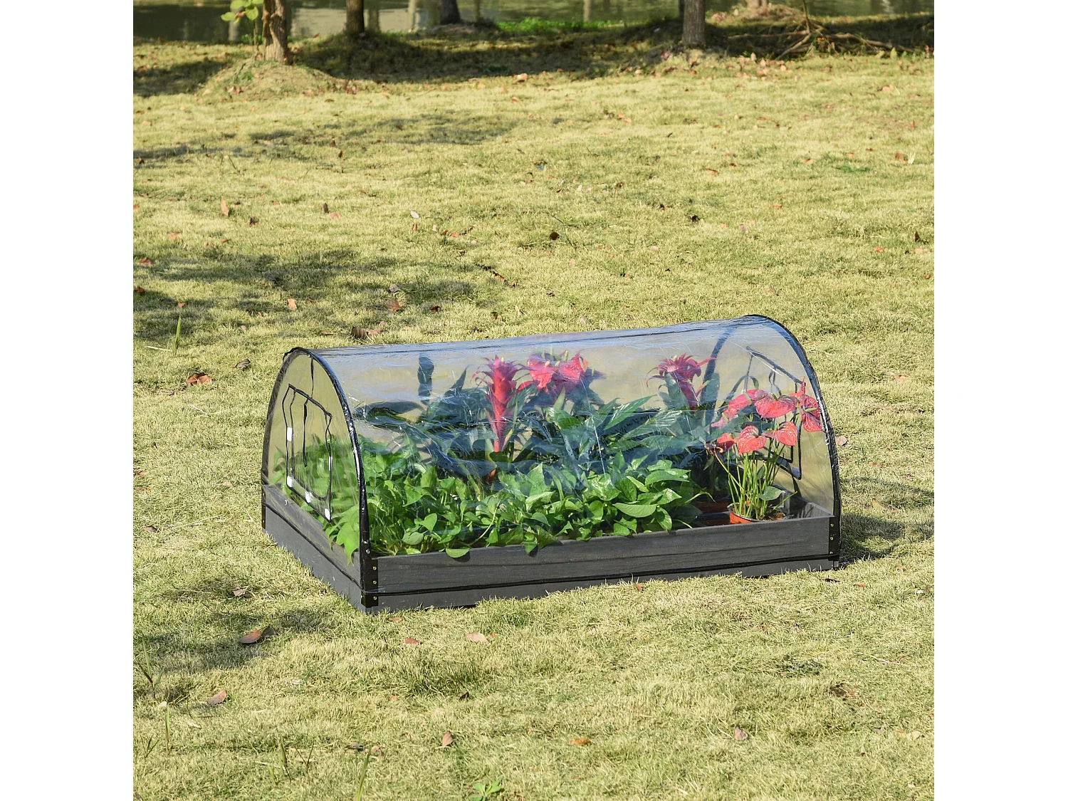 Mini serre de jardin serre à tomates mini serre pour semis carré potager bois sapin gris bâche PVC