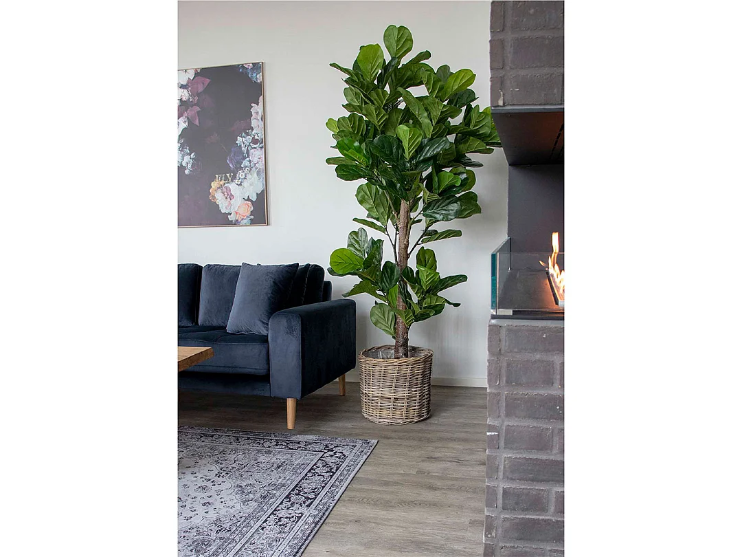 Violinfigen plante artificielle H190 cm verte.