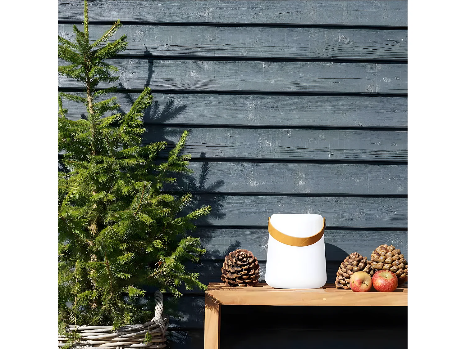 Bristol lamp LED oplaadbaar wit.