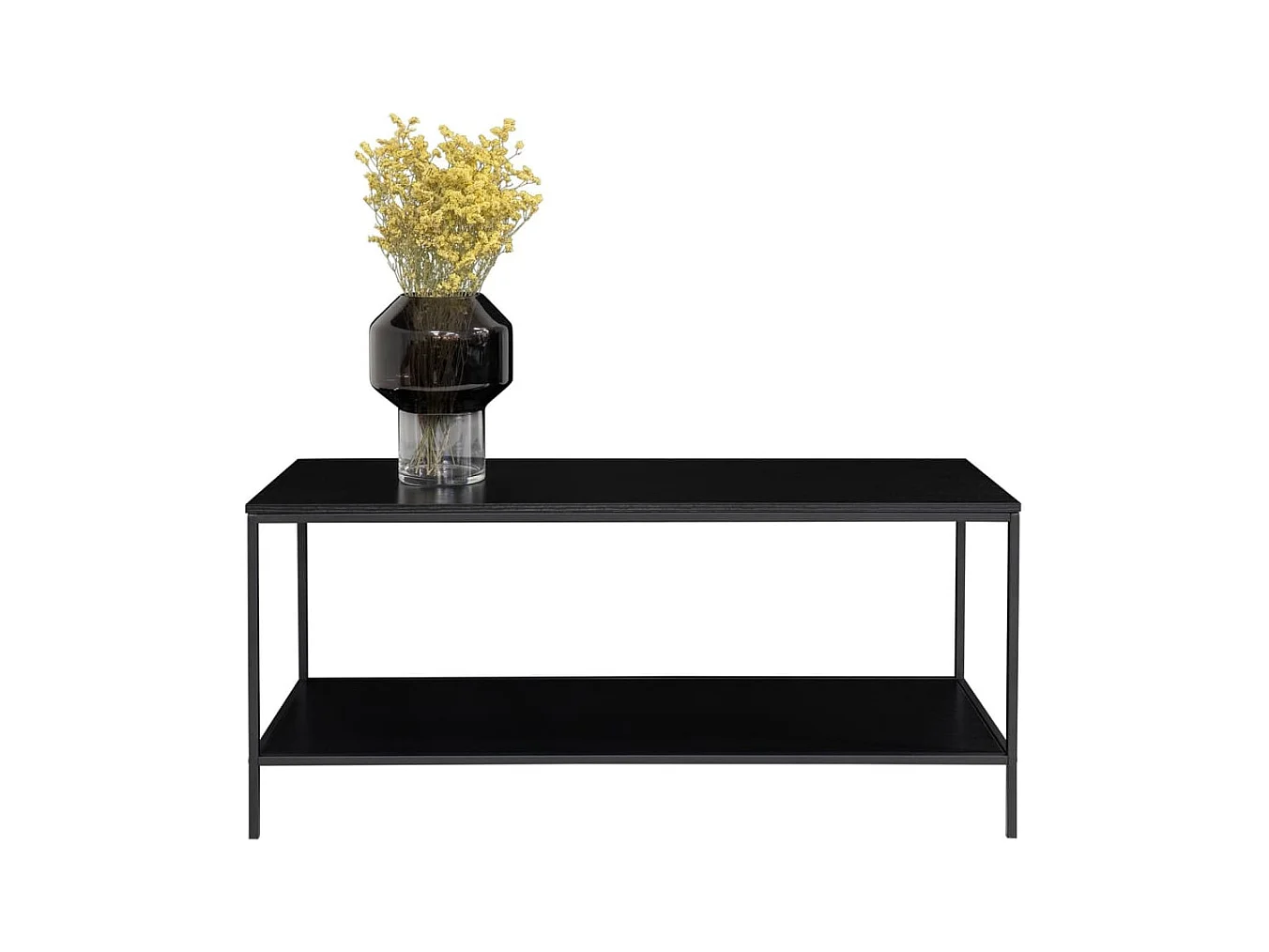 Gabinete de TV negro de 2 historias