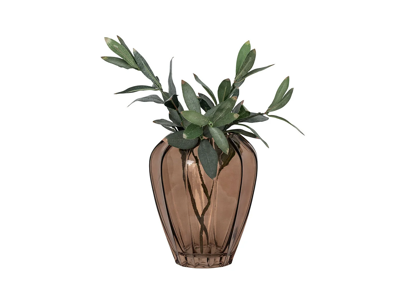 Bragança Vaasje bruin.