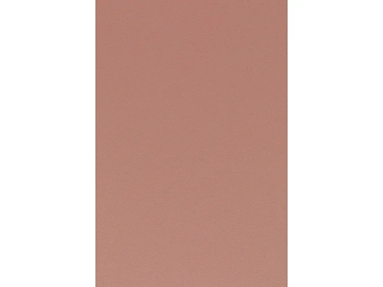 Pip - Lot de 2 chaises en résine et métal - Rose