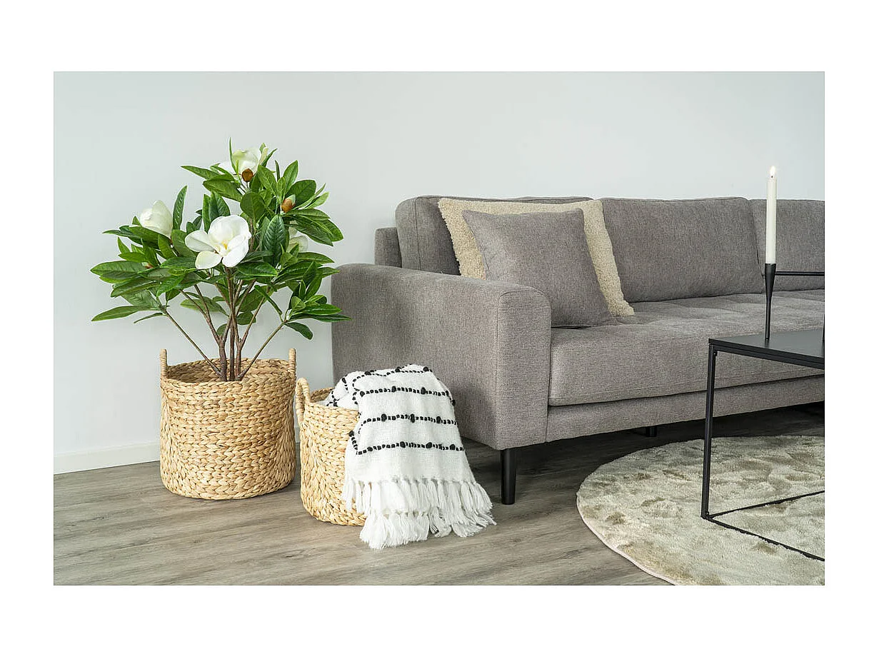 Passo 2 pcs. paniers naturel.