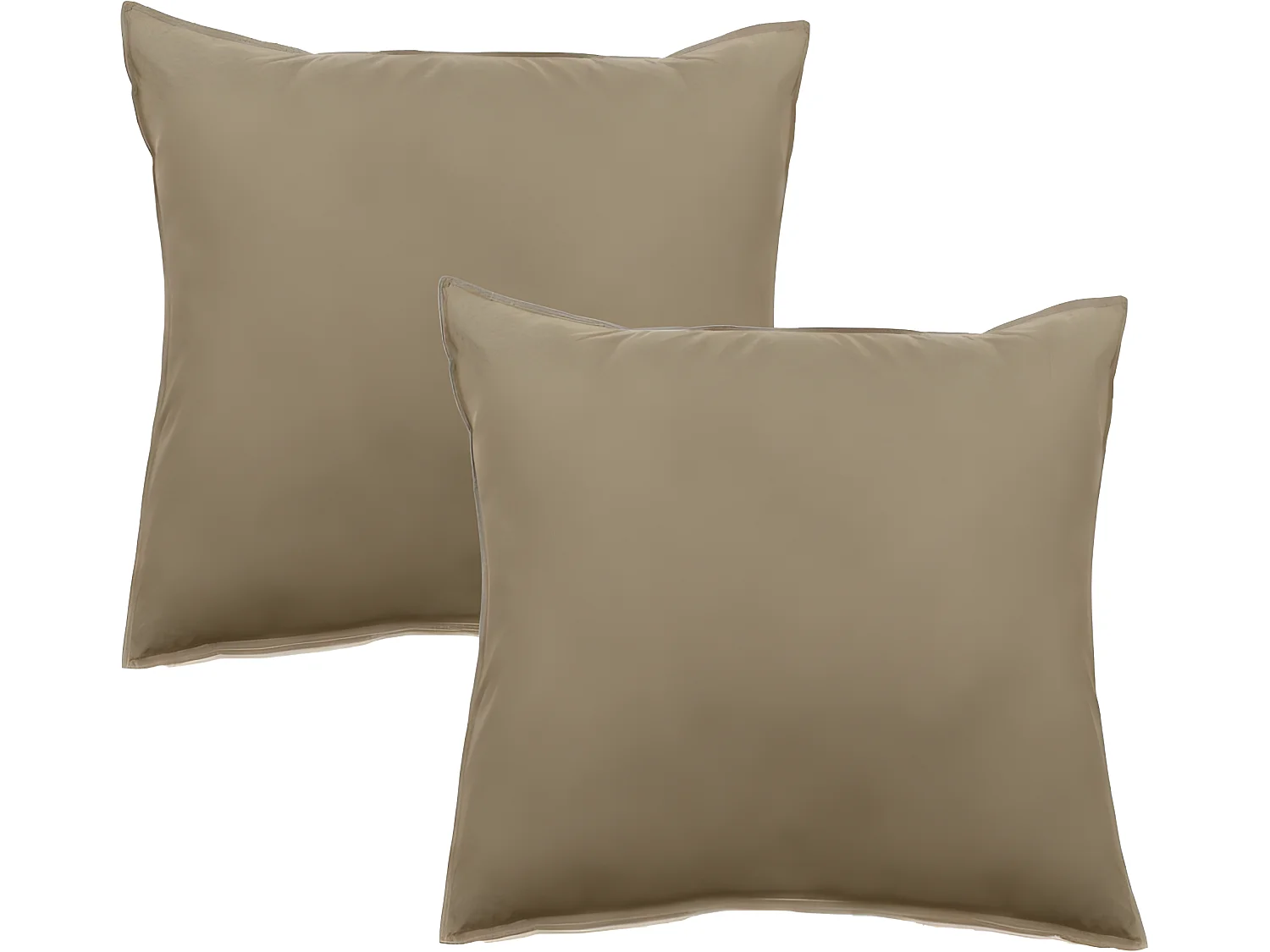 Lot de 2 taies d'oreiller Palace pur coton teint lavé 63 fils/cm² Vent du sud