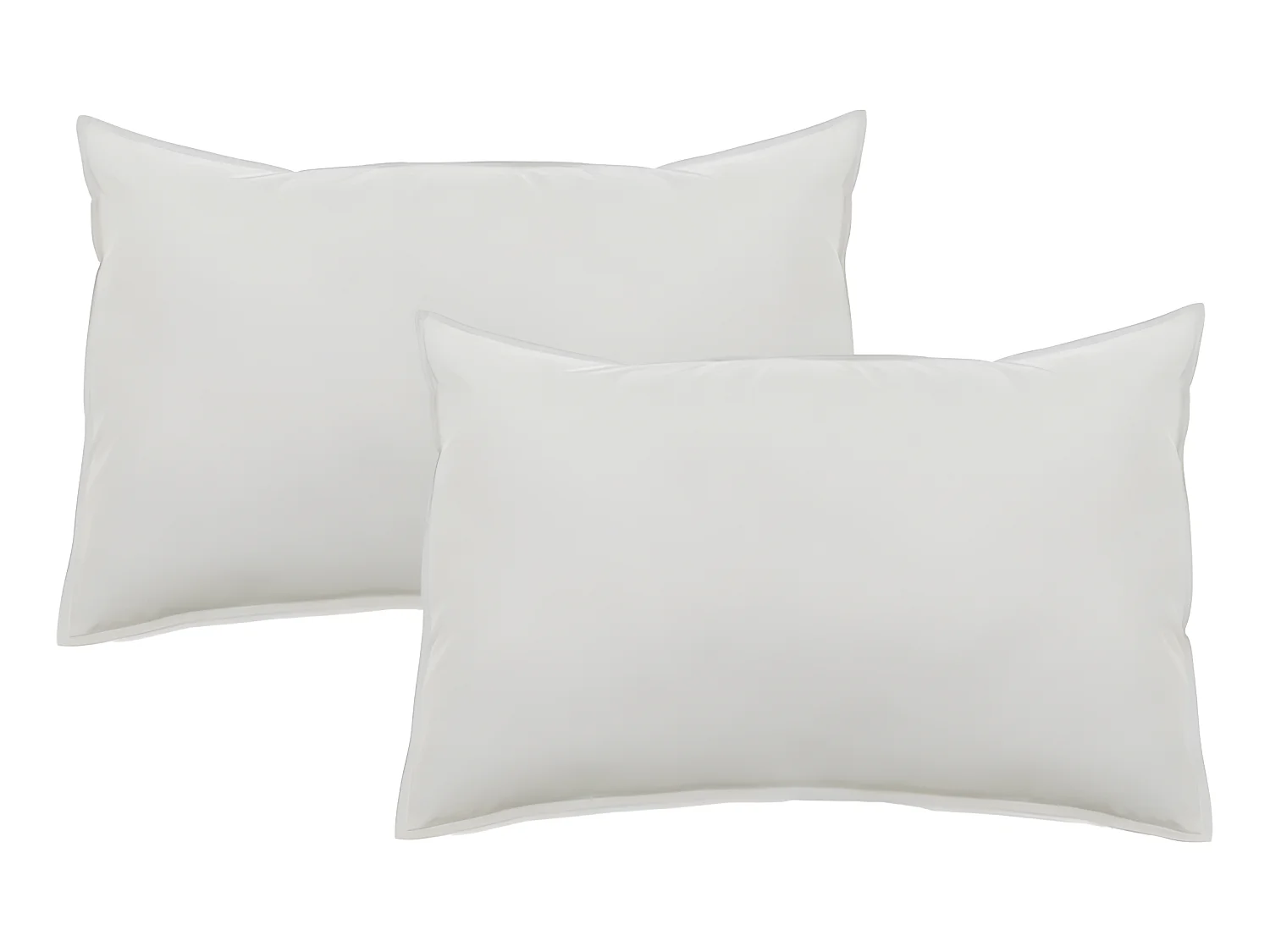 Lot de 2 taies d'oreiller Palace pur coton teint lavé 63 fils/cm² Vent du sud