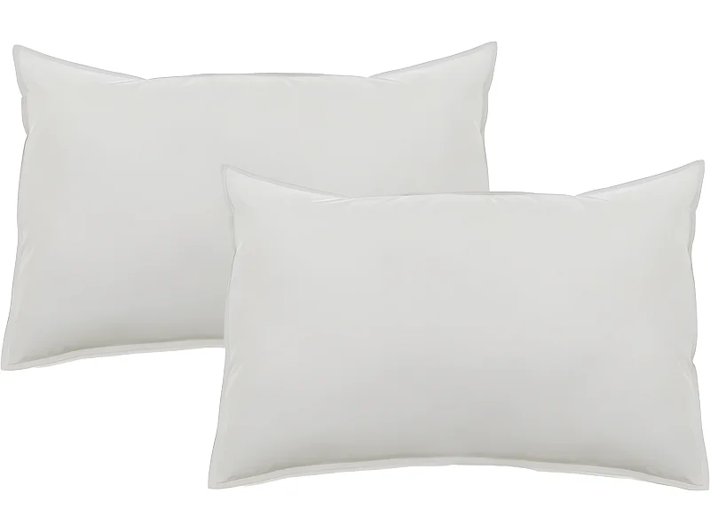 Lot de 2 taies d'oreiller Palace pur coton teint lavé 63 fils/cm² Vent du sud