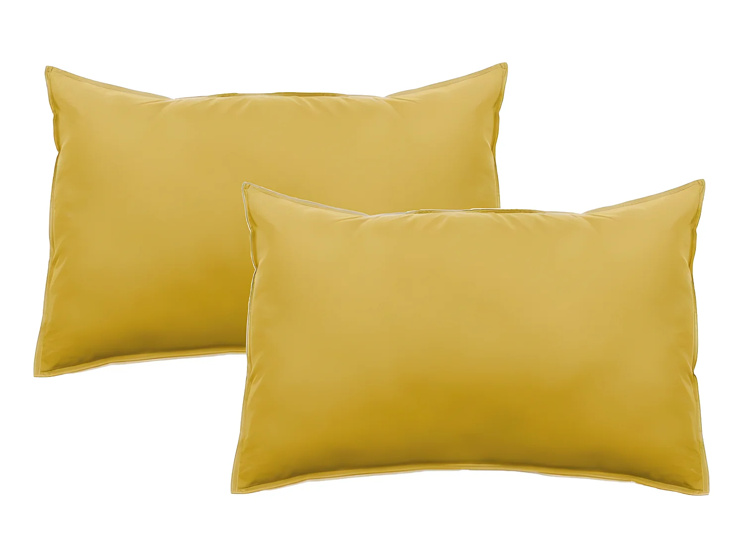 Lot de 2 taies d'oreiller Palace pur coton teint lavé 63 fils/cm² Vent du sud