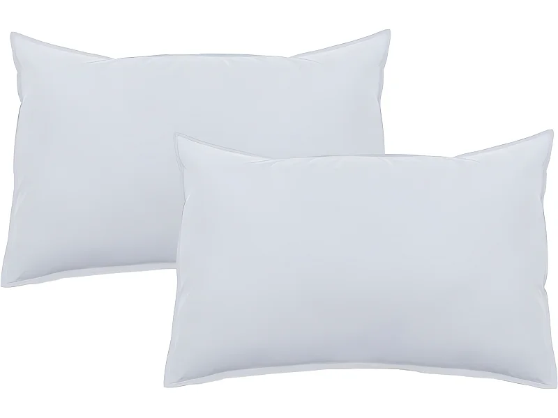 Lot de 2 taies d'oreiller Palace pur coton teint lavé 63 fils/cm² Vent du sud