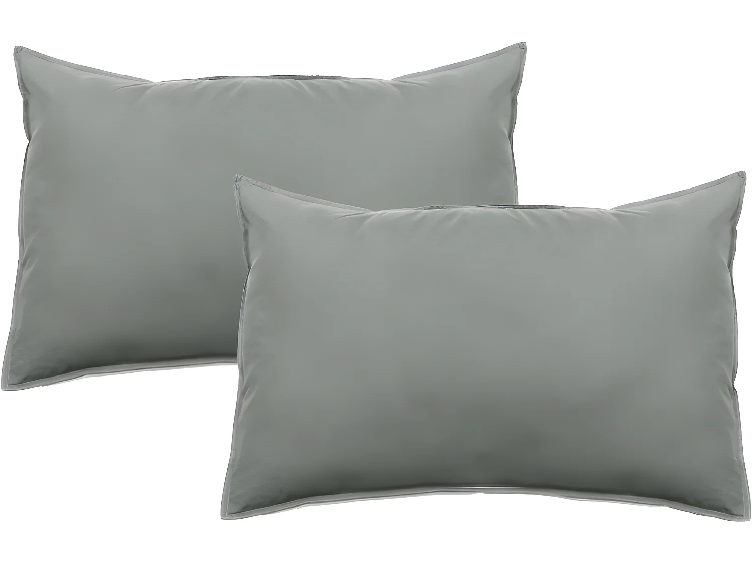 Lot de 2 taies d'oreiller Palace pur coton teint lavé 63 fils/cm² Vent du sud