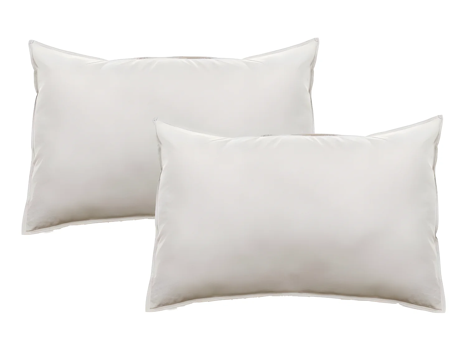 Lot de 2 taies d'oreiller Palace pur coton teint lavé 63 fils/cm² Vent du sud