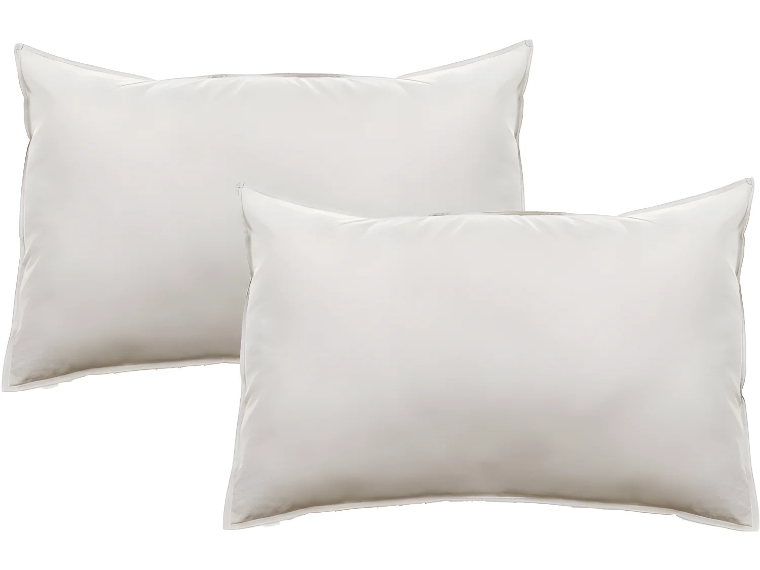 Lot de 2 taies d'oreiller Palace pur coton teint lavé 63 fils/cm² Vent du sud