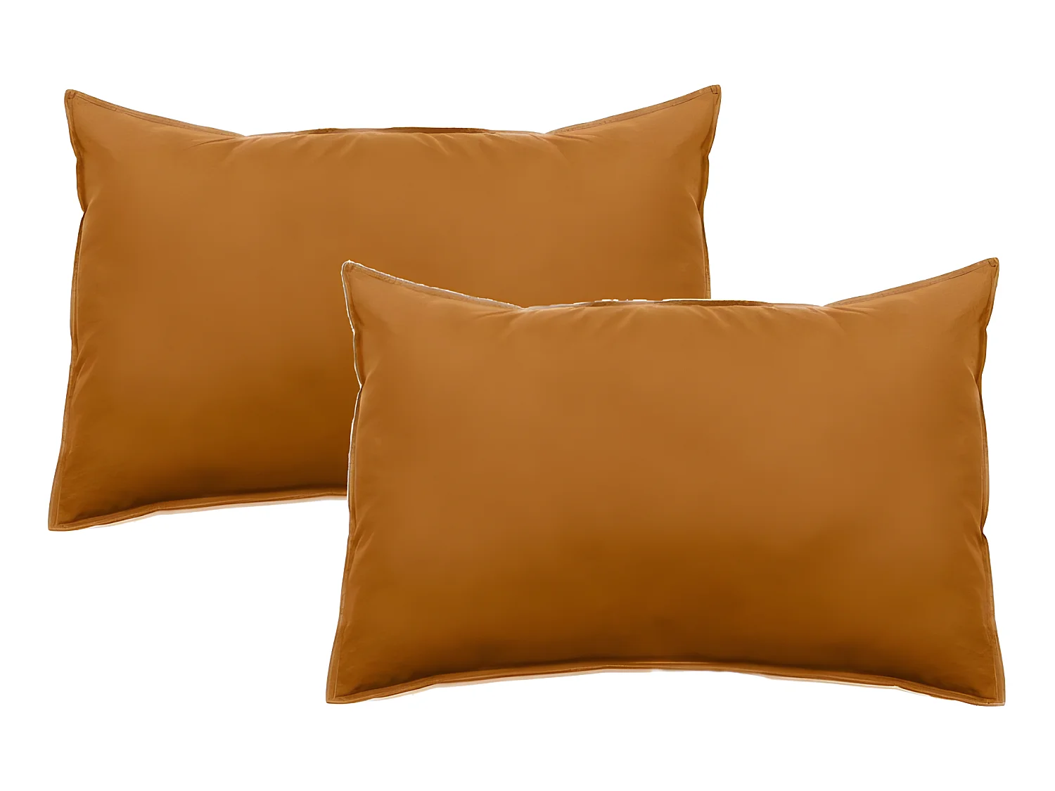 Lot de 2 taies d'oreiller Palace pur coton teint lavé 63 fils/cm² Vent du sud