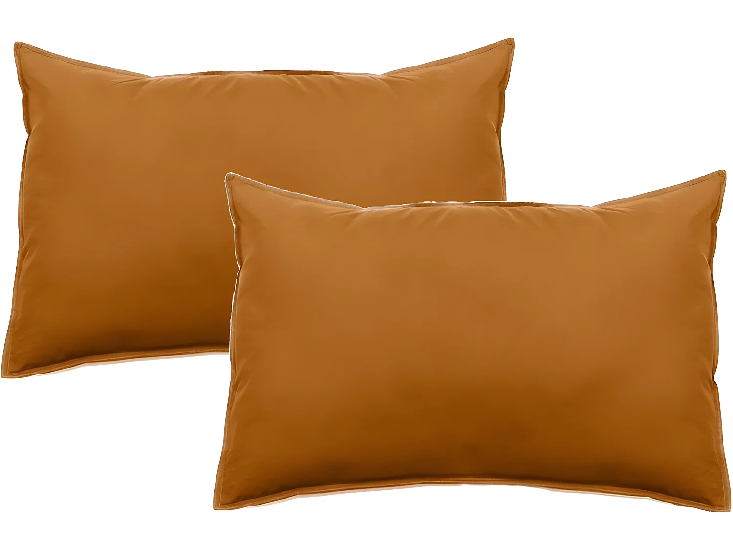 Lot de 2 taies d'oreiller Palace pur coton teint lavé 63 fils/cm² Vent du sud