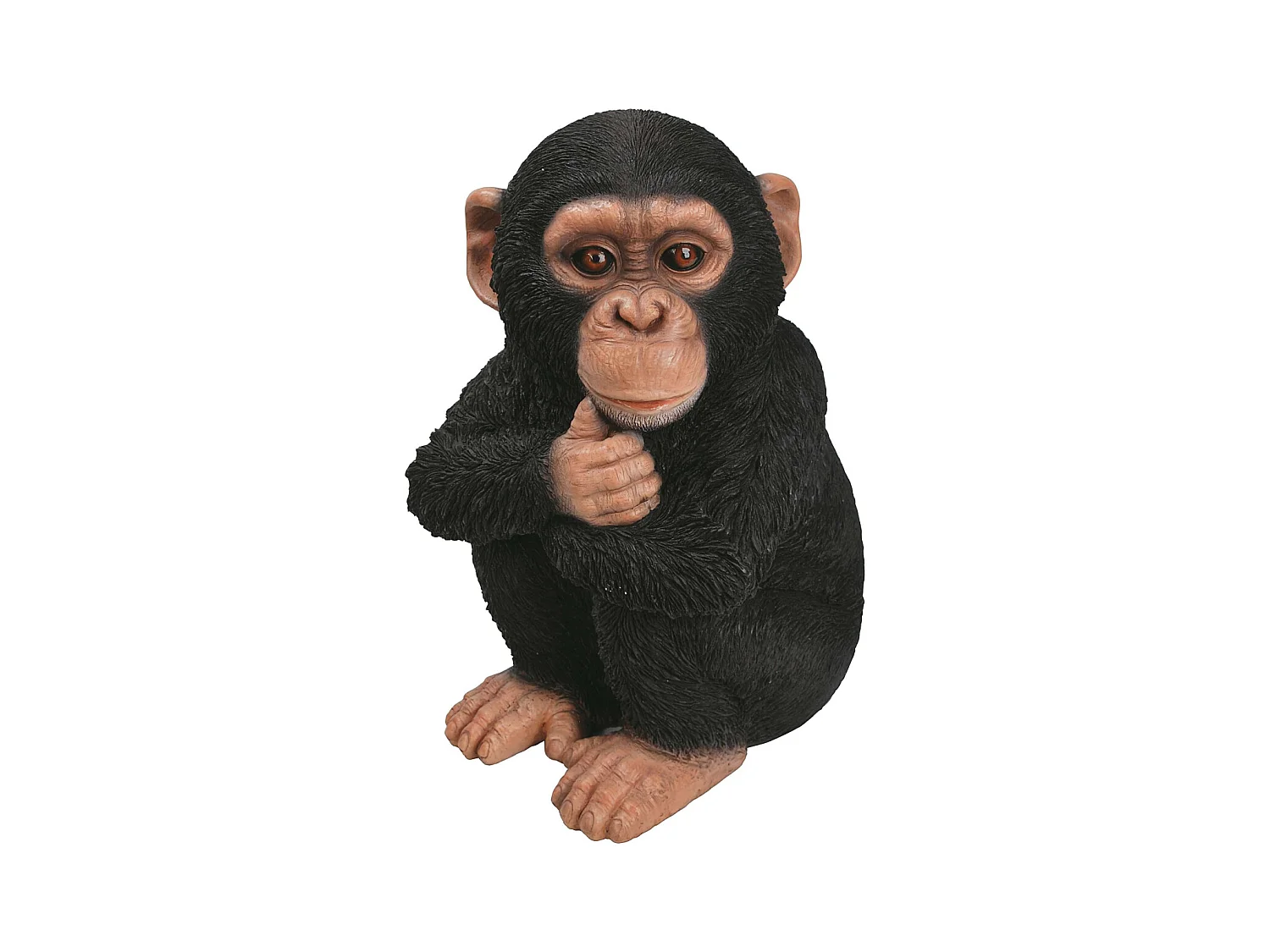 Bébé chimpanzé en résine 31 cm