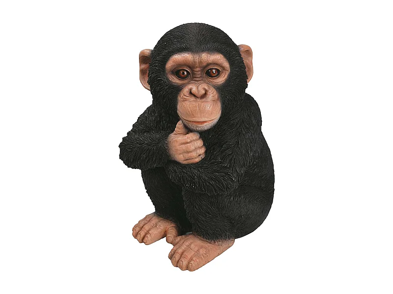 Bébé chimpanzé en résine 31 cm
