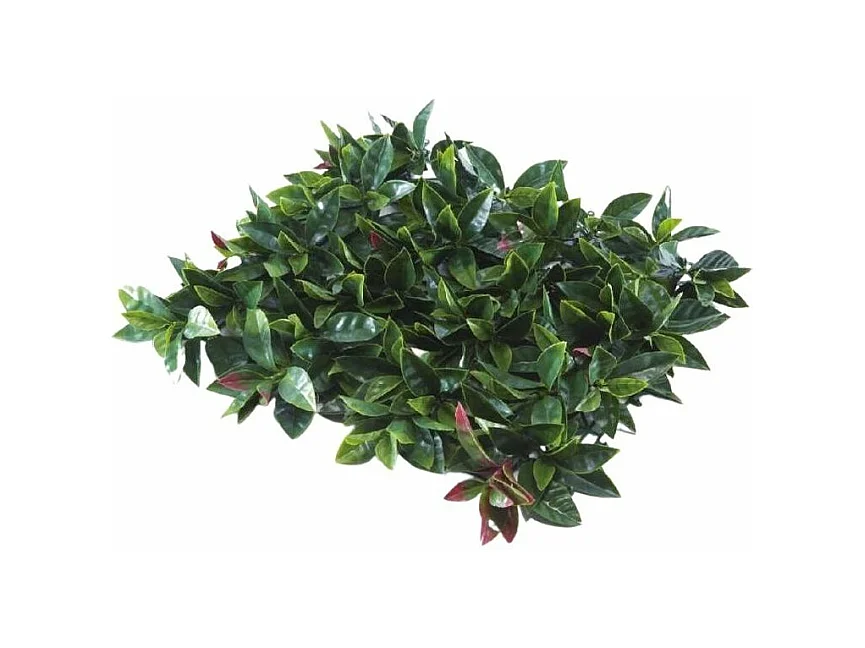 Feuillage artificiel 1 m x 1 m Photinia