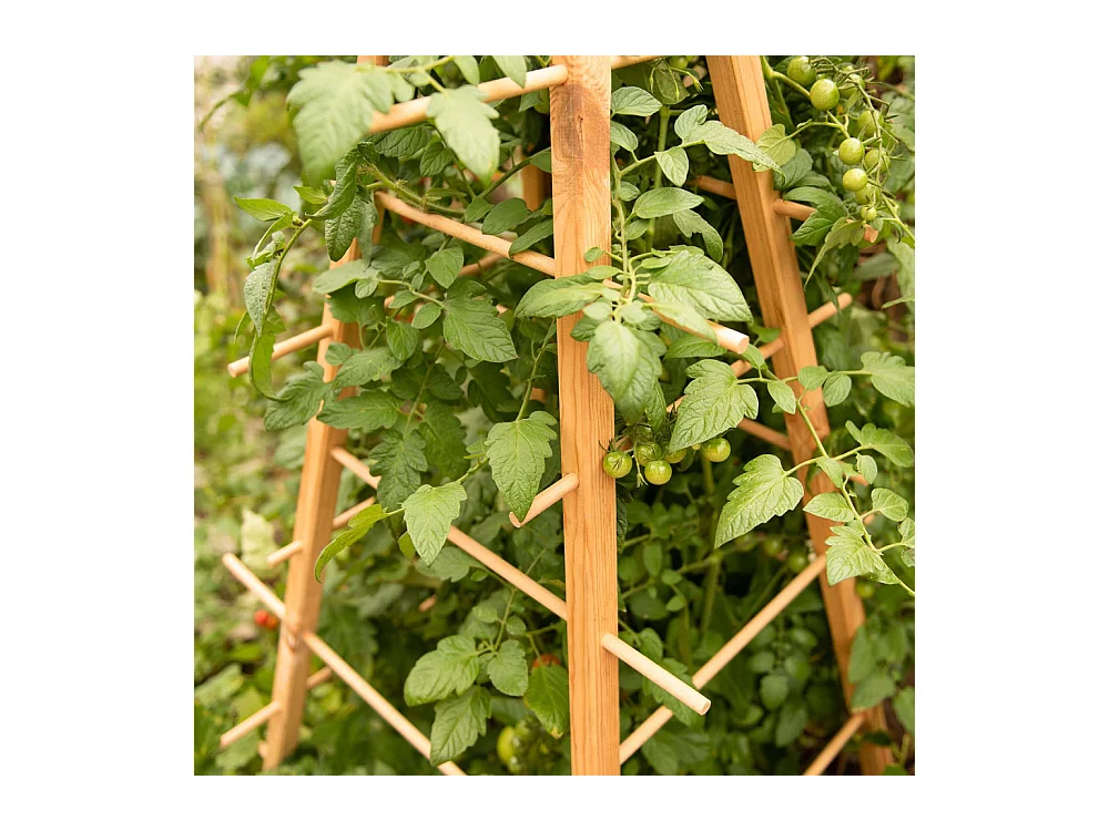 Support en bois de pin pour plantes 4 piquets Pyramide