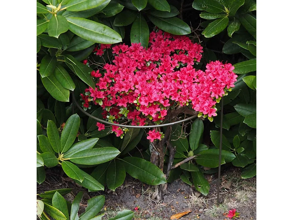 Support à plantes demi-cercle en acier 40 x 75 cm