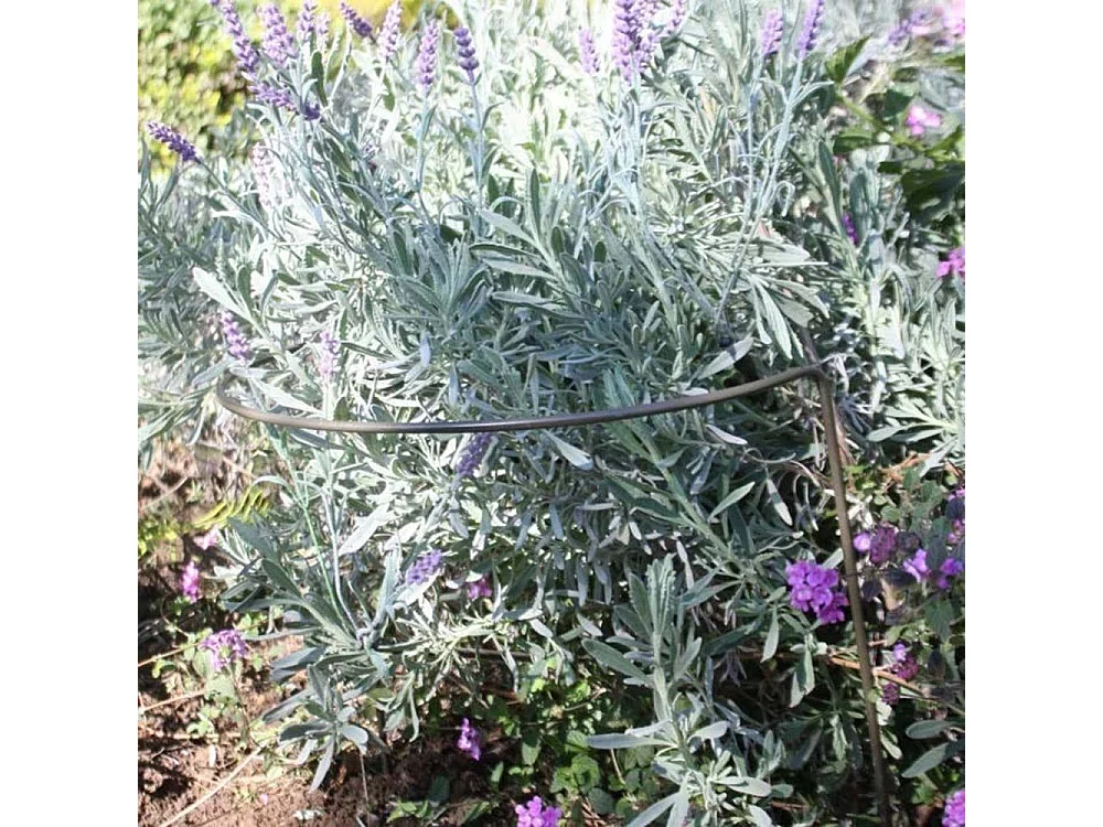 Support à plantes demi-cercle en acier 40 x 75 cm