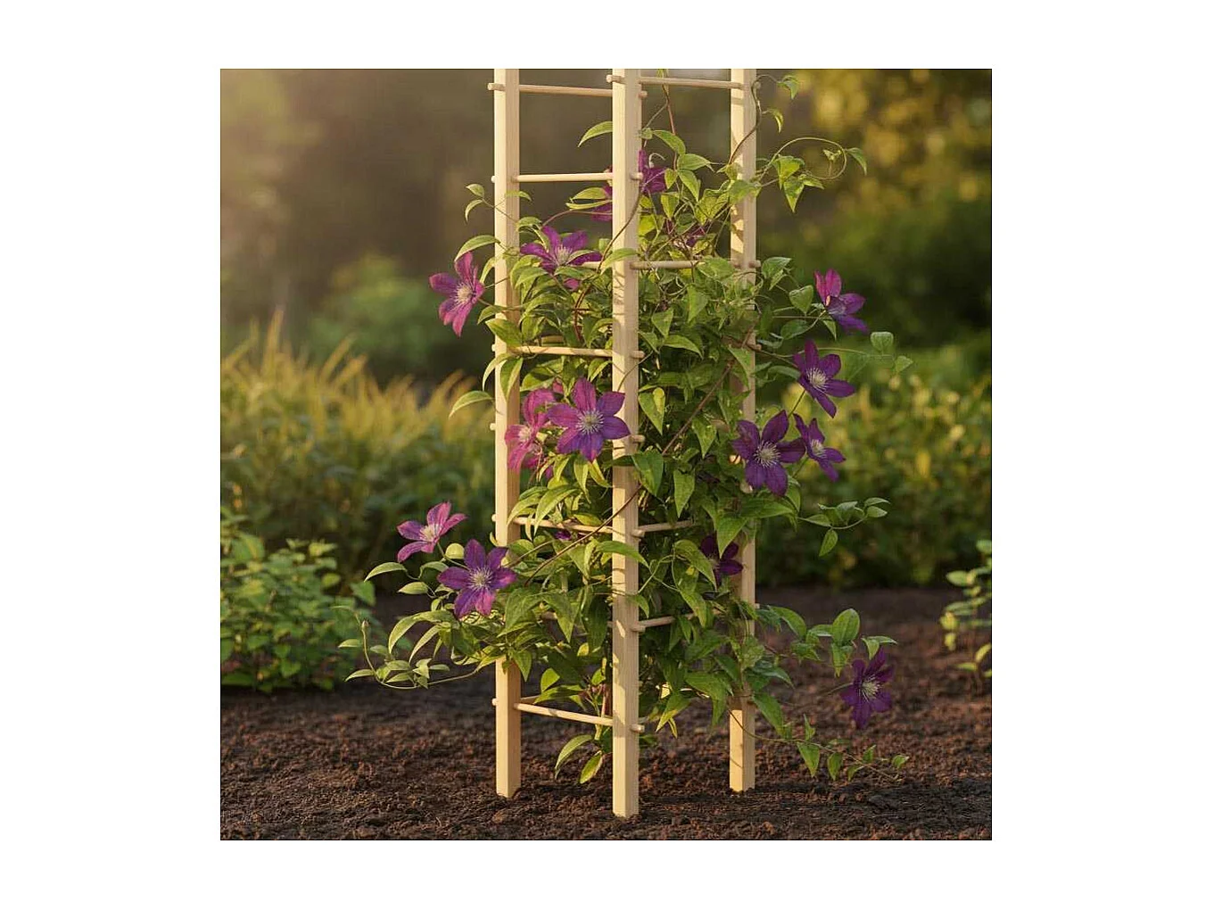 Support en bois de pin pour plantes 4 piquets Tour