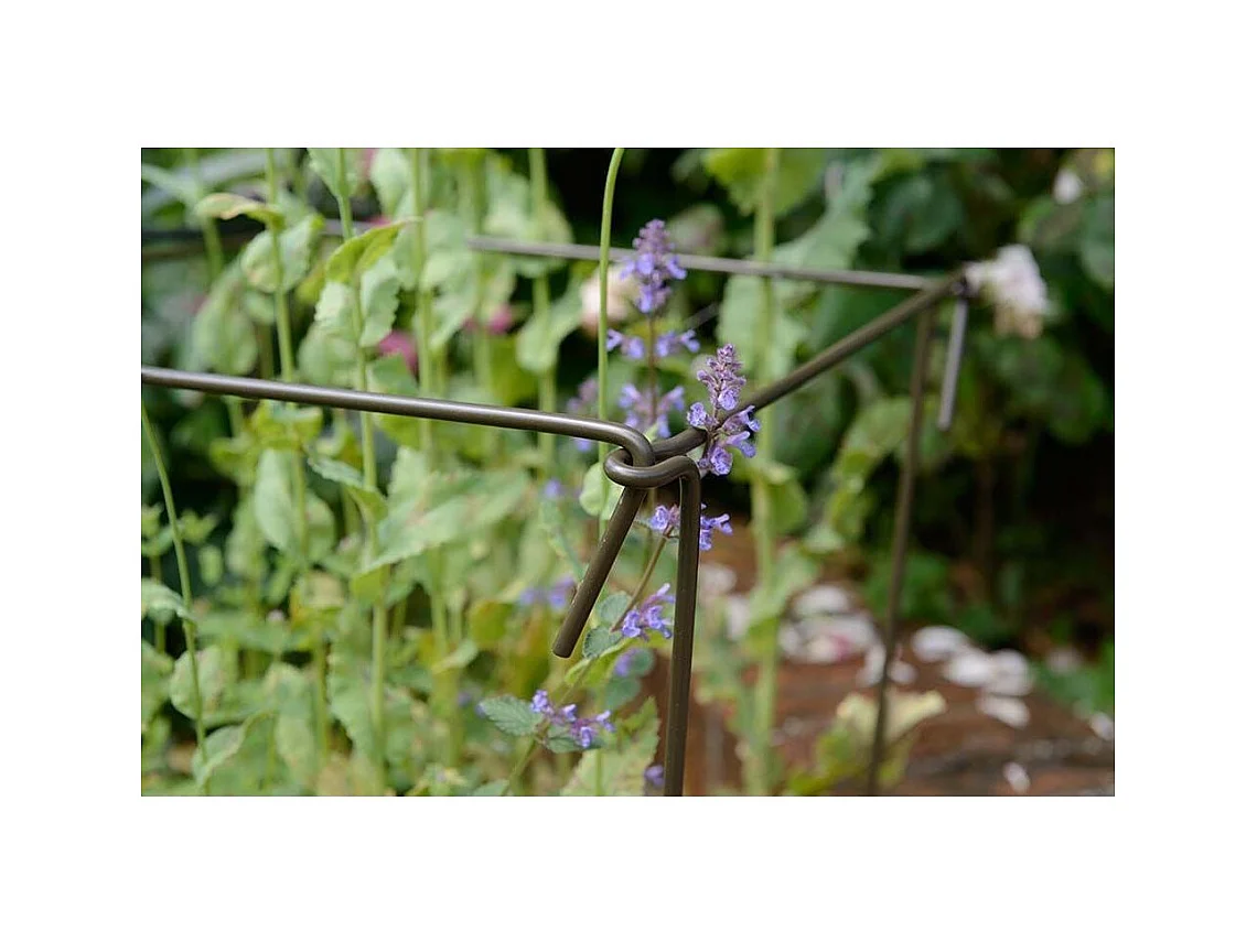 Supporto per piante in acciaio (set di 6) 75 cm